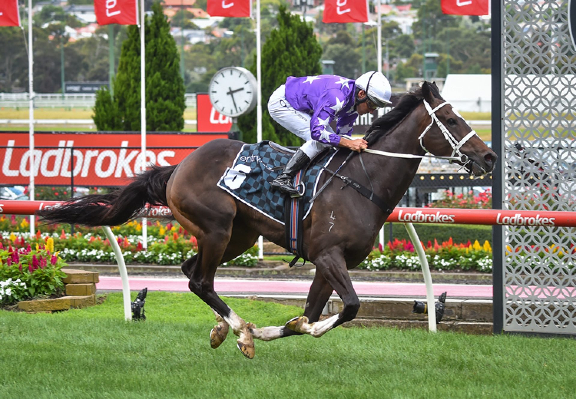 Rousseau (So You Think) winning at Moonee Valley
