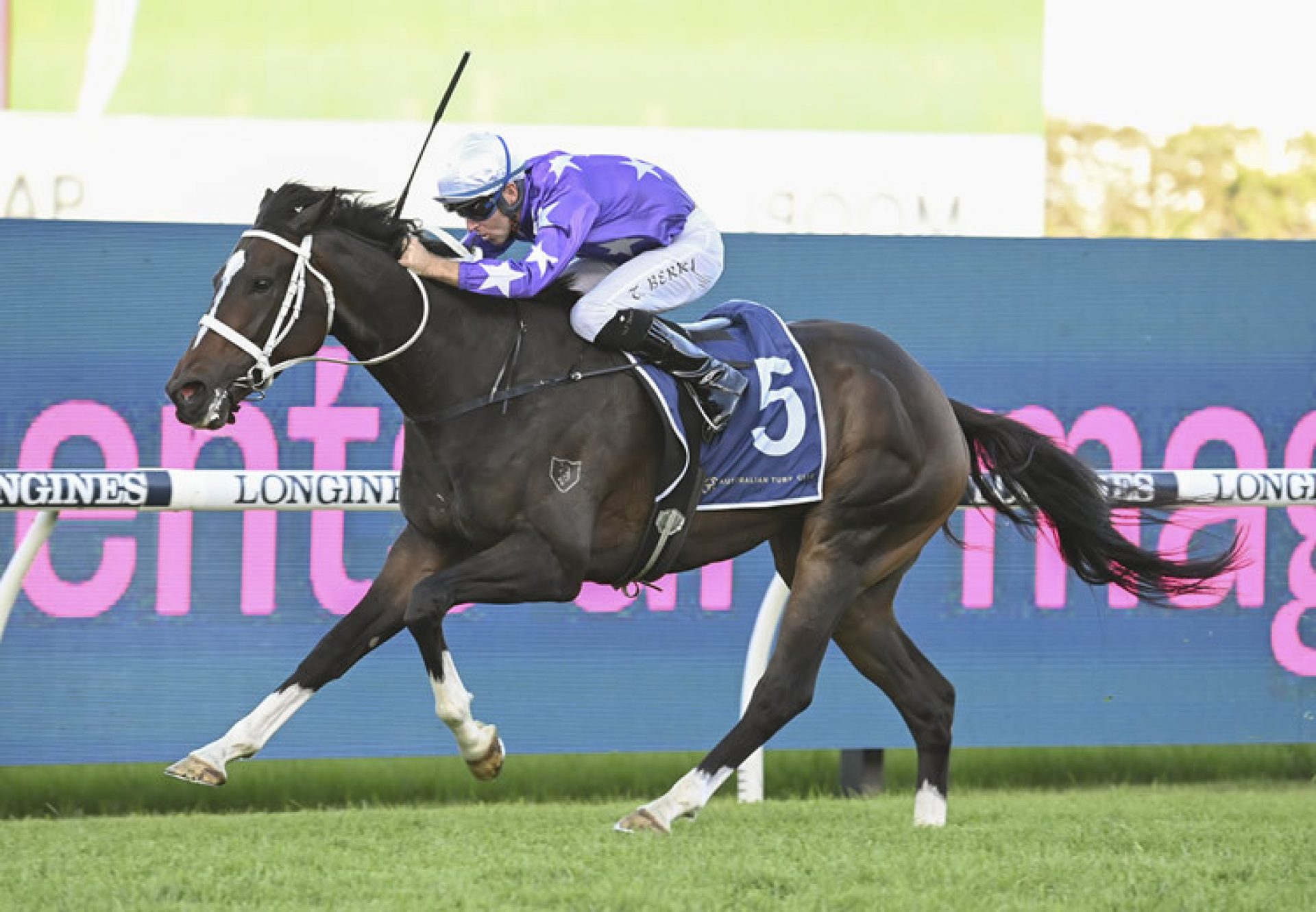 Rousseau (So You Think) winning at Rosehill