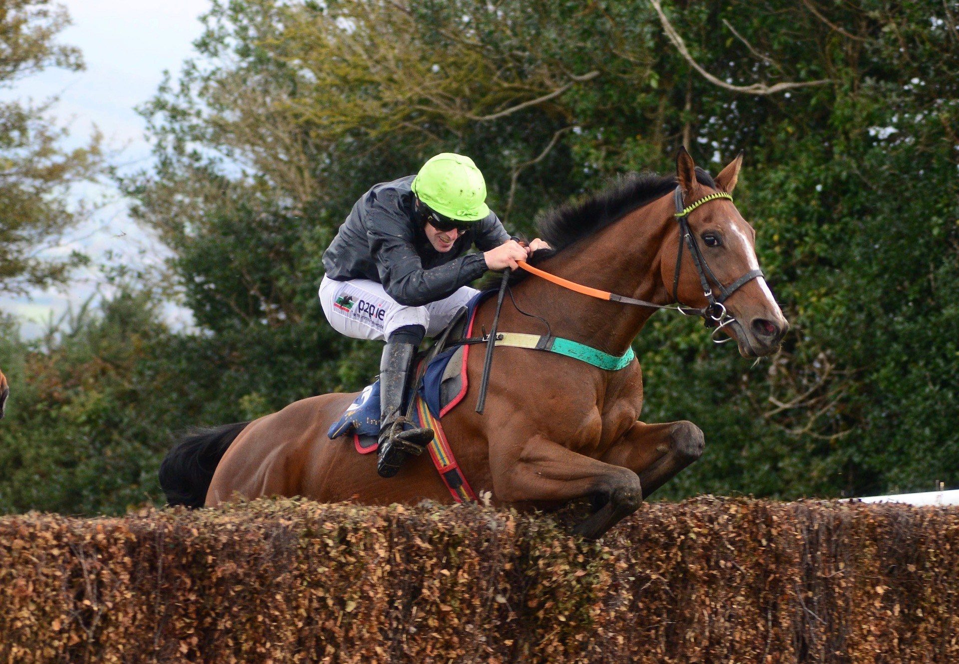 Routine Excellence (Getaway) Wins The 4YO Maiden On Debut At Tinahely