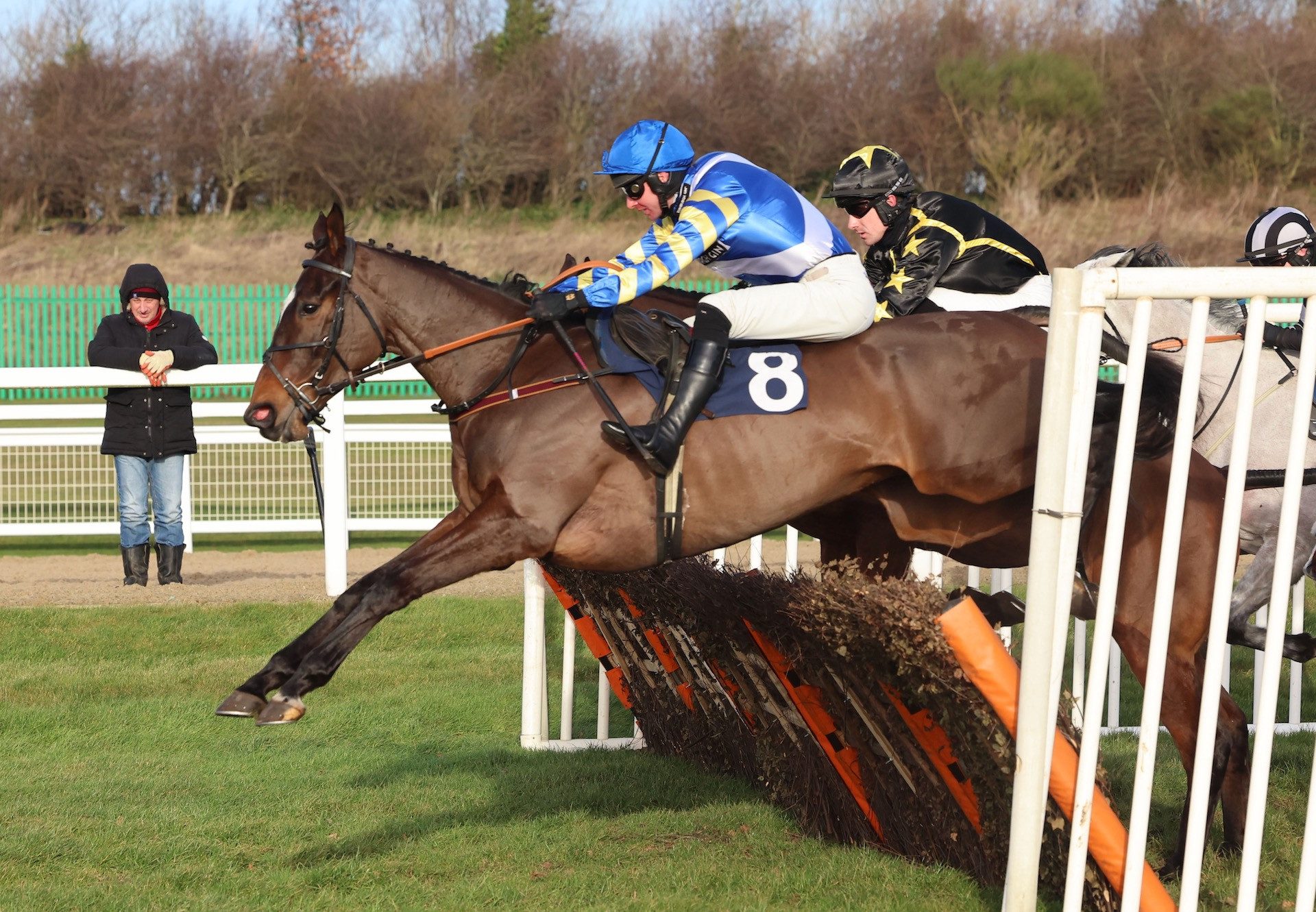 Rowdy Rustler (Getaway) Wins His Maiden Hurdle At Newcastle