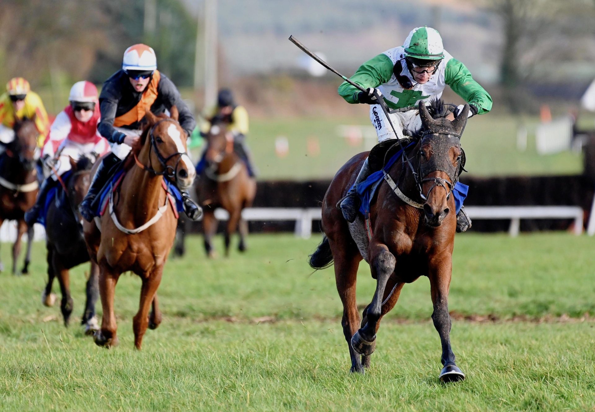 Roxhill Rosie (Getaway( Wins The 5YO Mares Maiden At Dromahane