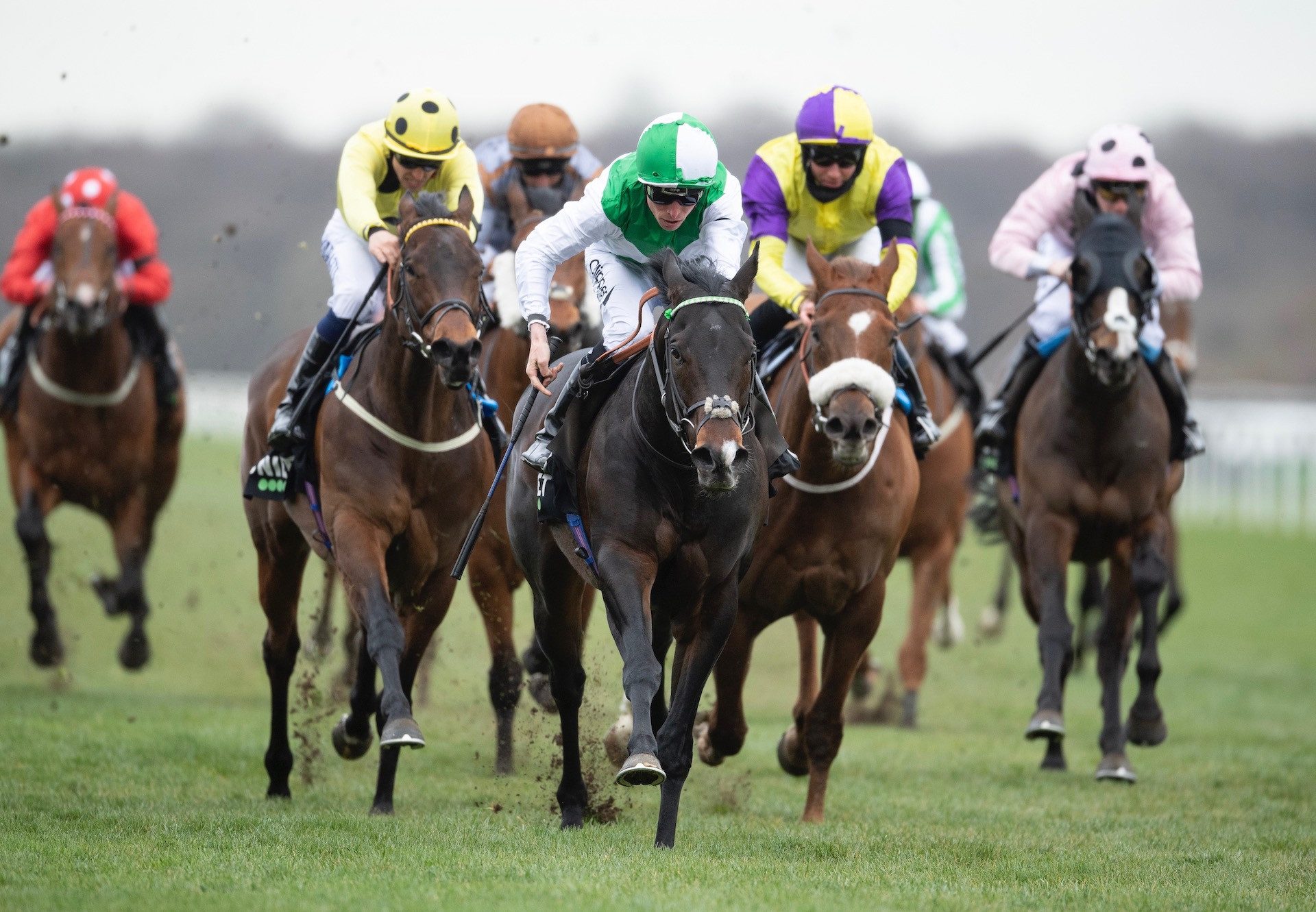 Royal Commando (No Nay Never) Wins The Listed Cammidge Trophy Stakes at Doncaster