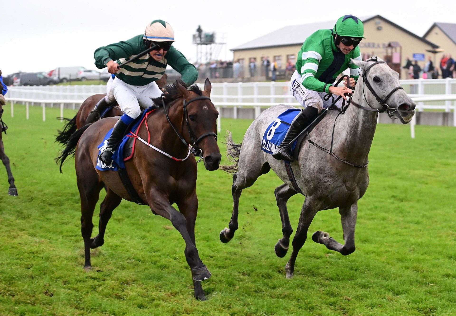 Royal Creek (Getaway) Wins The Fillies Bumper At Ballinrobe