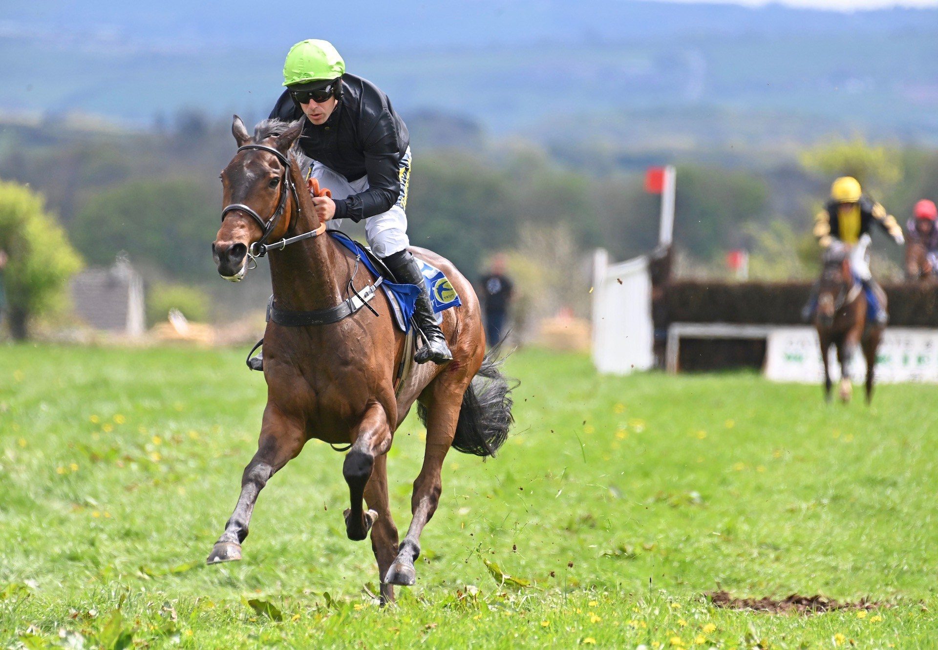 Royal Defender (Soldier Of Fortune) Impresses At Dawstown