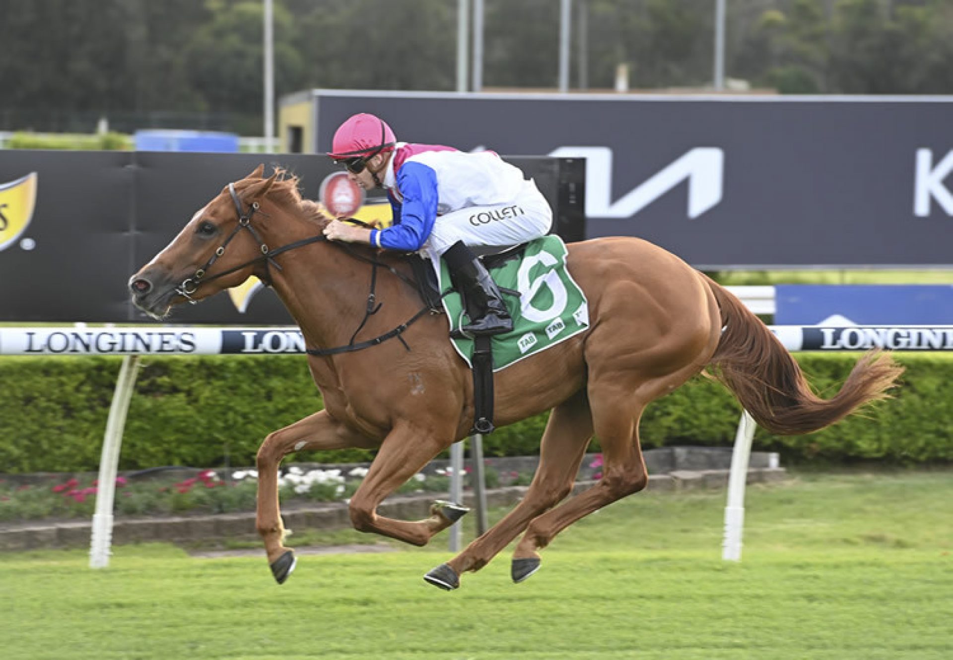 Royal Merchant (Merchant Navy) wins at Randwick