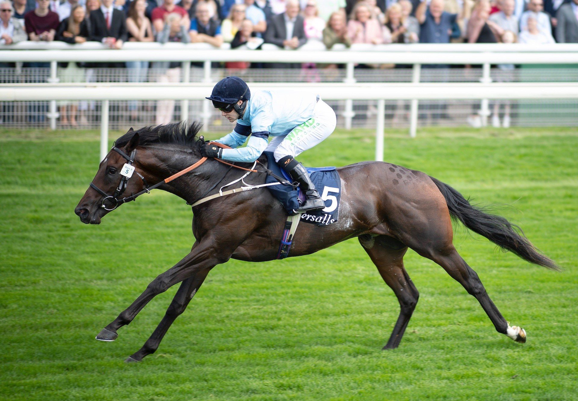 Royal Patronage (Wootton Basstt) Makes All To Win Group 3 Acomb Stakes at York