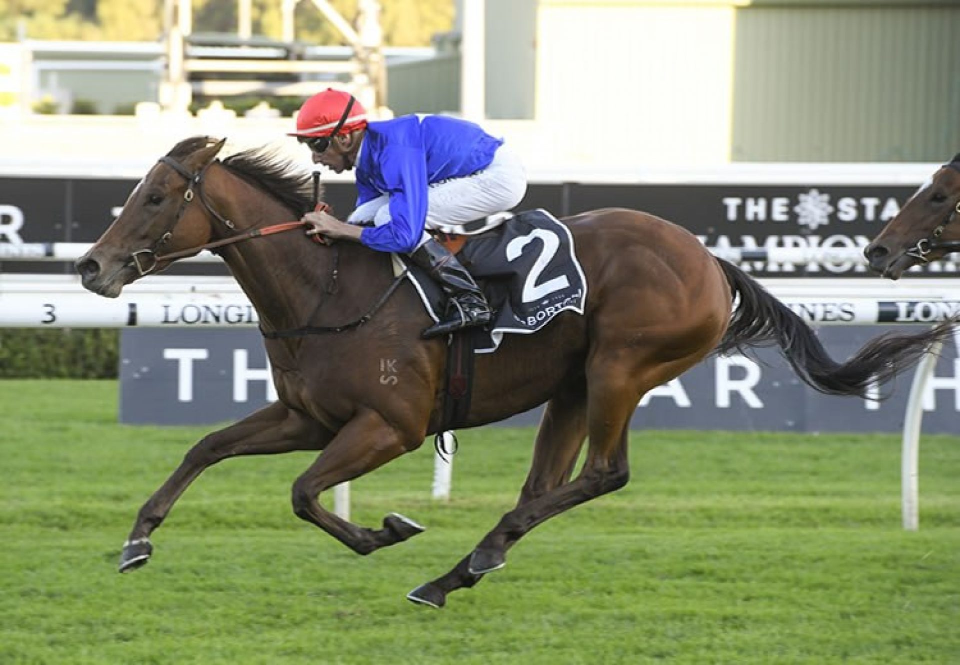 Rubisaki (Rubick) wins the Gr.3 PJ Bell Stakes at Randwick