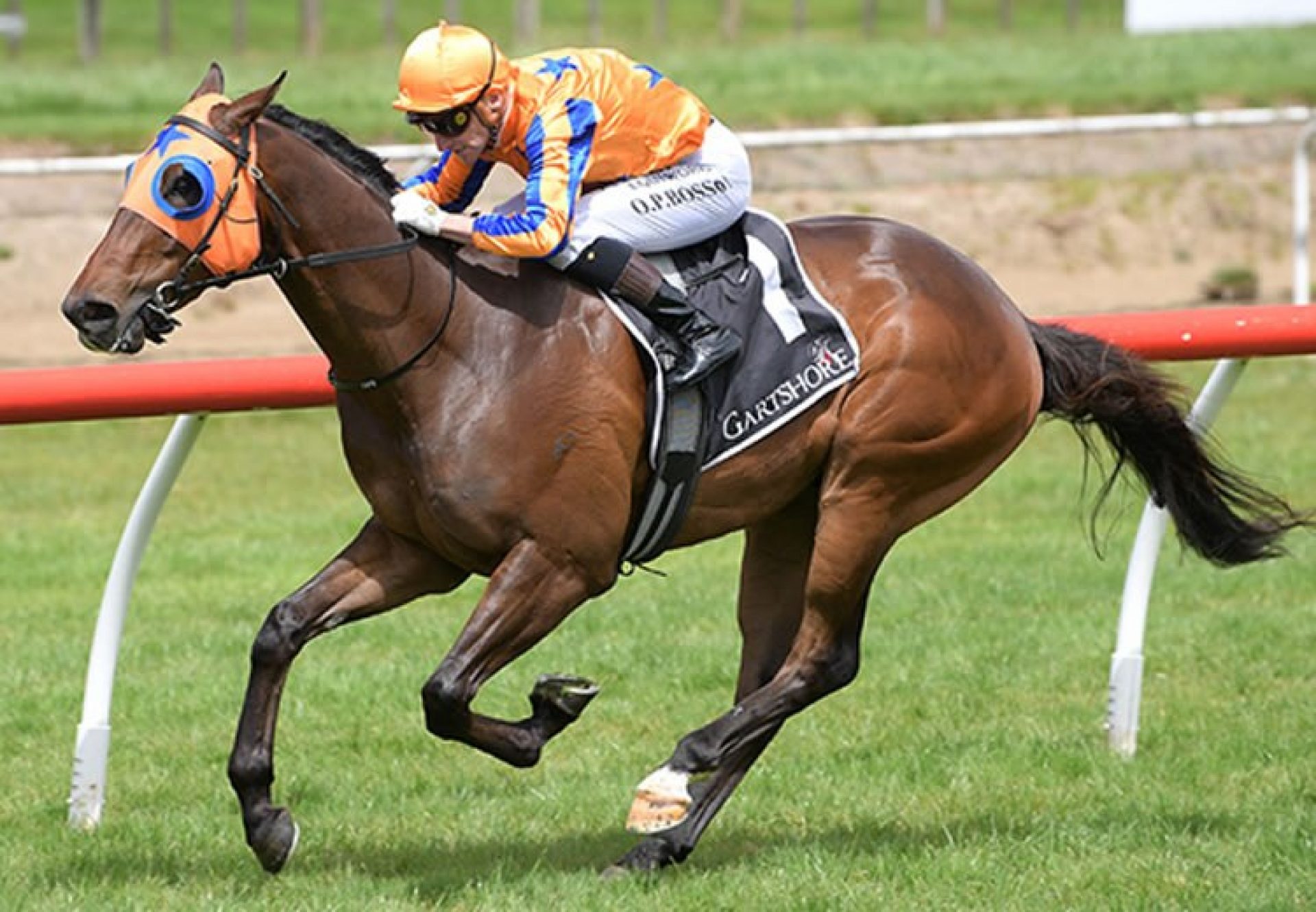 Rule Of Law (Justify) winning at Tauranga