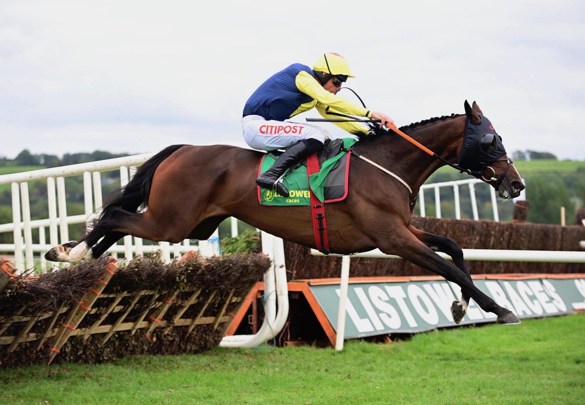 Run For Pat (Ocovango) Wins A Maiden Hurdle At Listowel