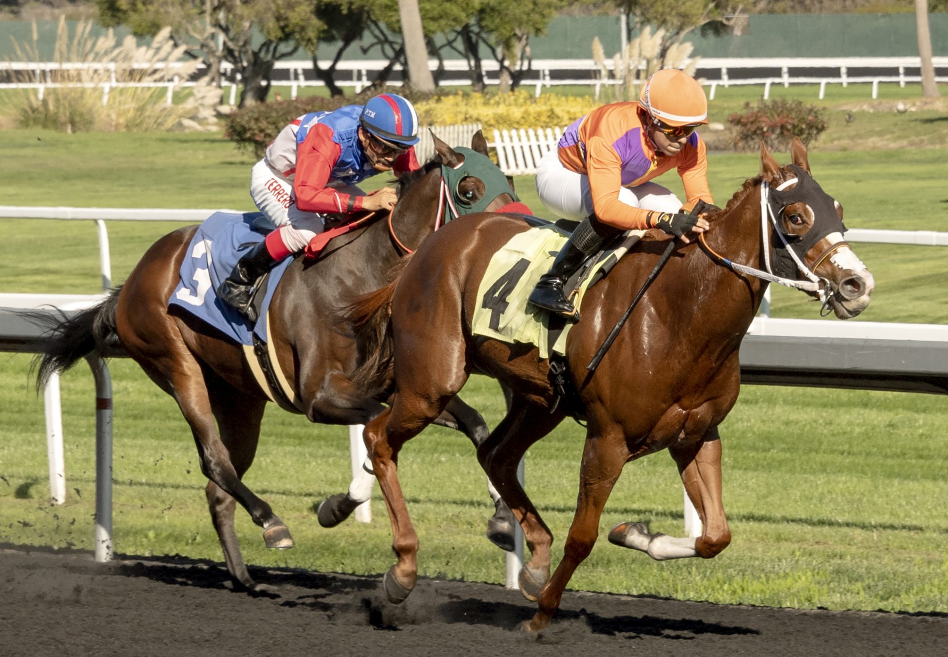 Sacred Beauty (Classic Empire) winning Golden Gate Maiden