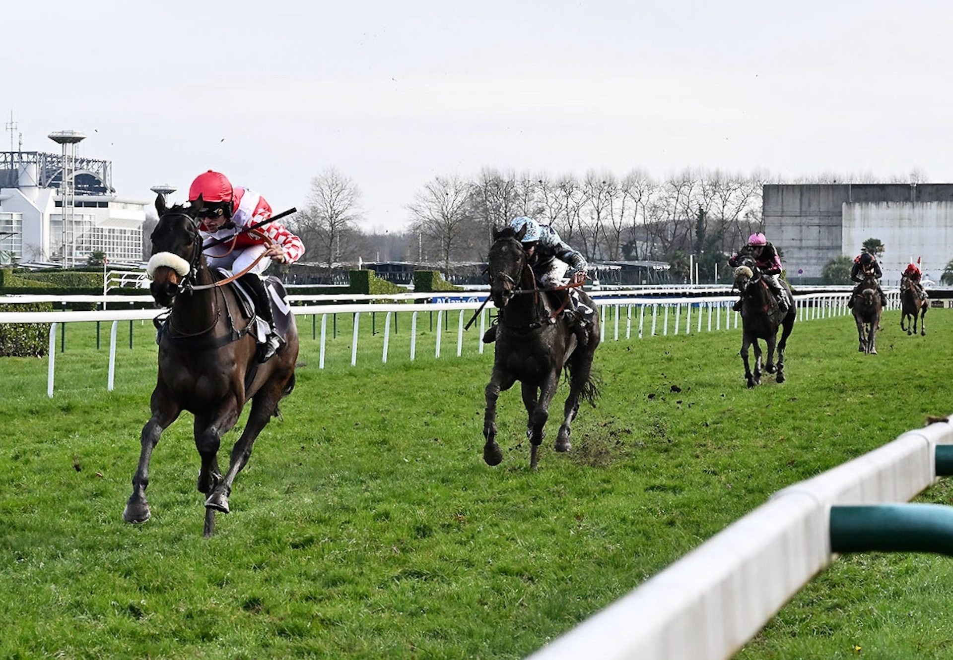 Saint Crystal (Crystal Ocean) Wins At Pau