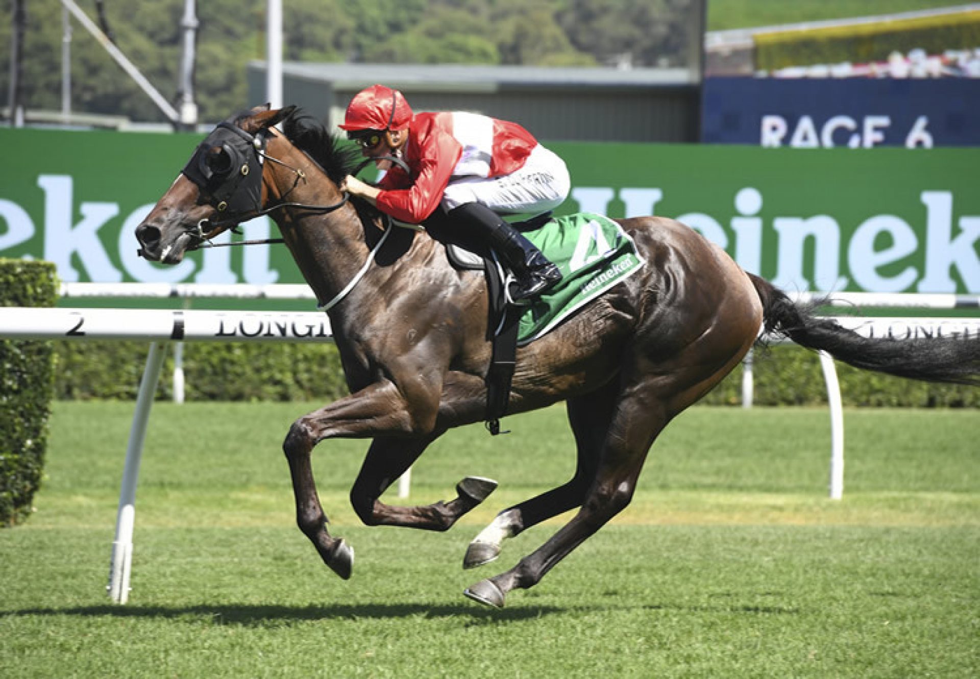 Sacramento (Pierro) winning at Randwick