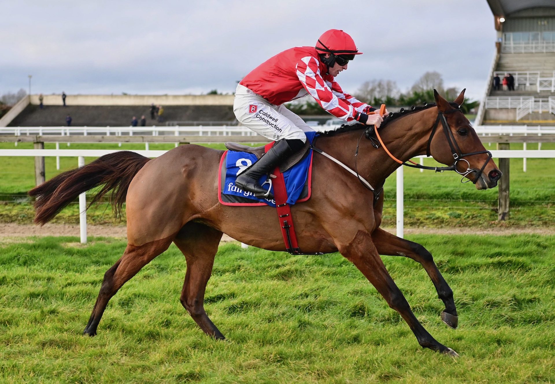 Sa Fureur (Walk In The Park) Wins The Beginners Chase At Fairyhouse