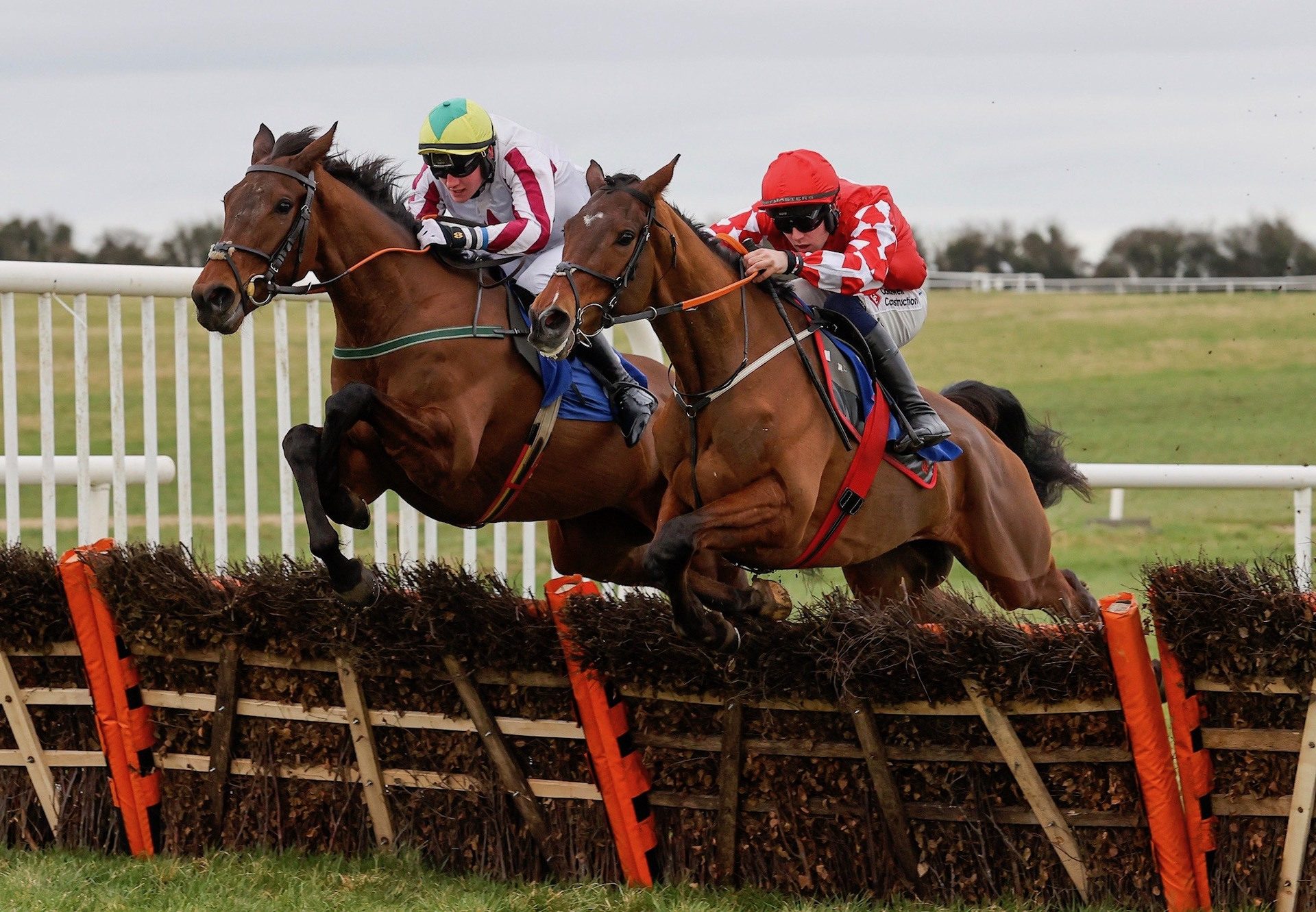 Sa Fureur Wins The Grade 3 Michael Purcell Memorial Novice Hurdle 1