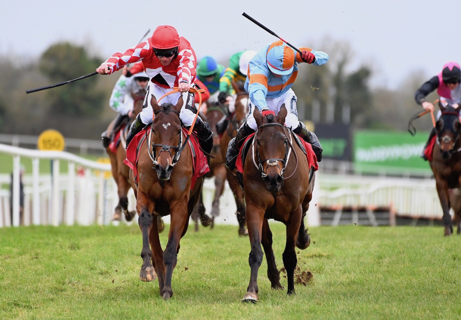 Sa Fureur (Walk In The Park) Wins The Rated Novice Hurdle At Punchestown