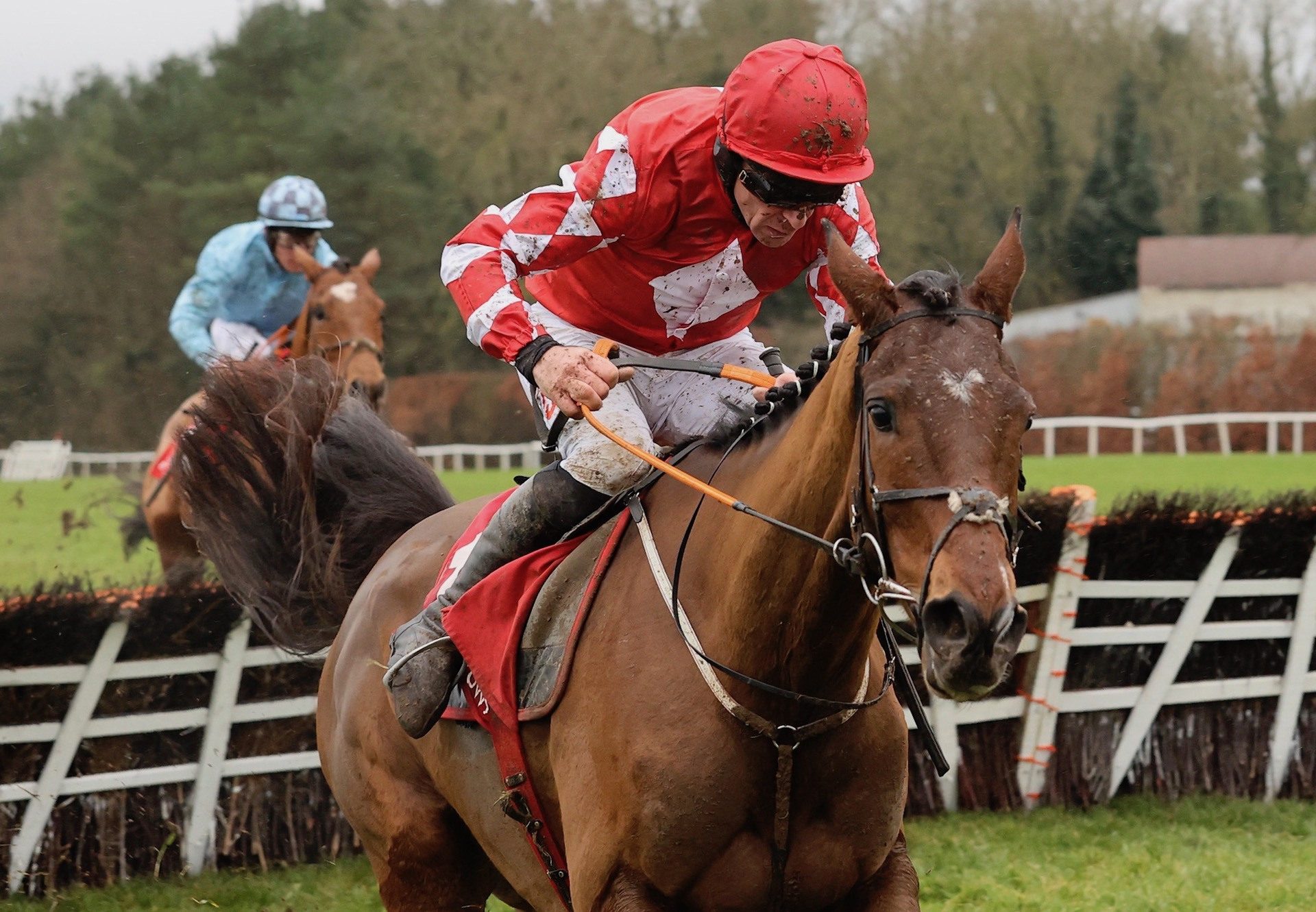 Sa Fureur (Walk In The Park) Wins The Maiden Hurdle At Punchestown