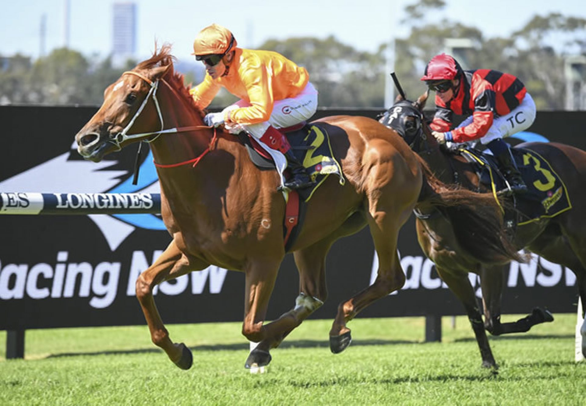 Saif (Pride Of Dubai) winning the Gr.3 Schweppervescence Handicap at Rosehill