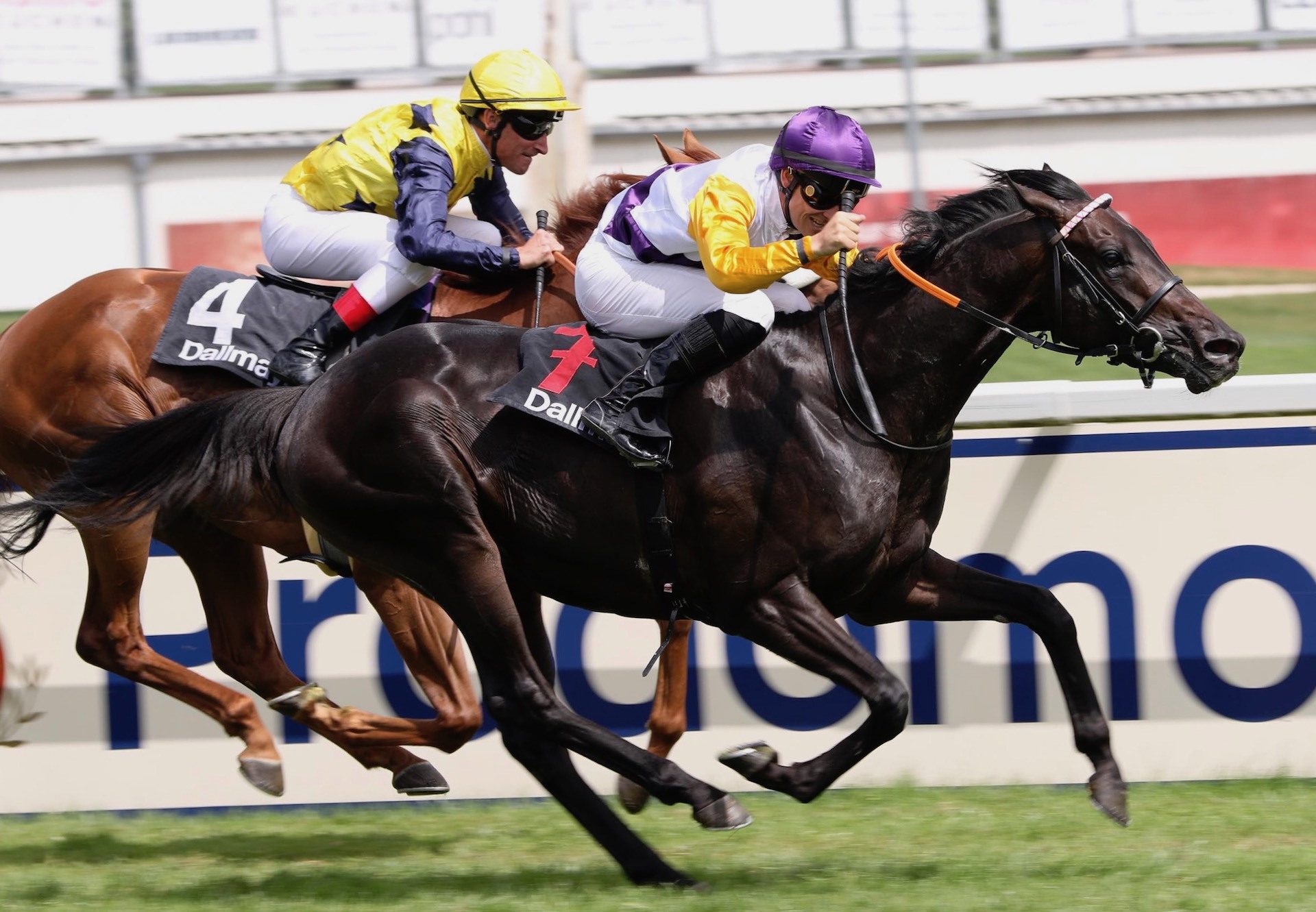 Sammarco (Camelot) Wins The Gr.1 Grosser Dallmayr Preis Bayersches Zuchtrennen at Munich