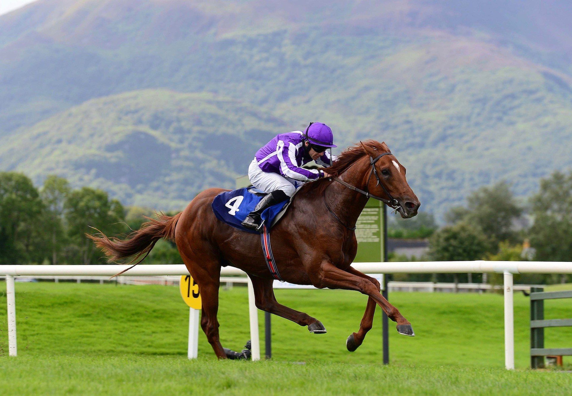 San Martino (The Gurkha) Wins His Maiden At Killarney