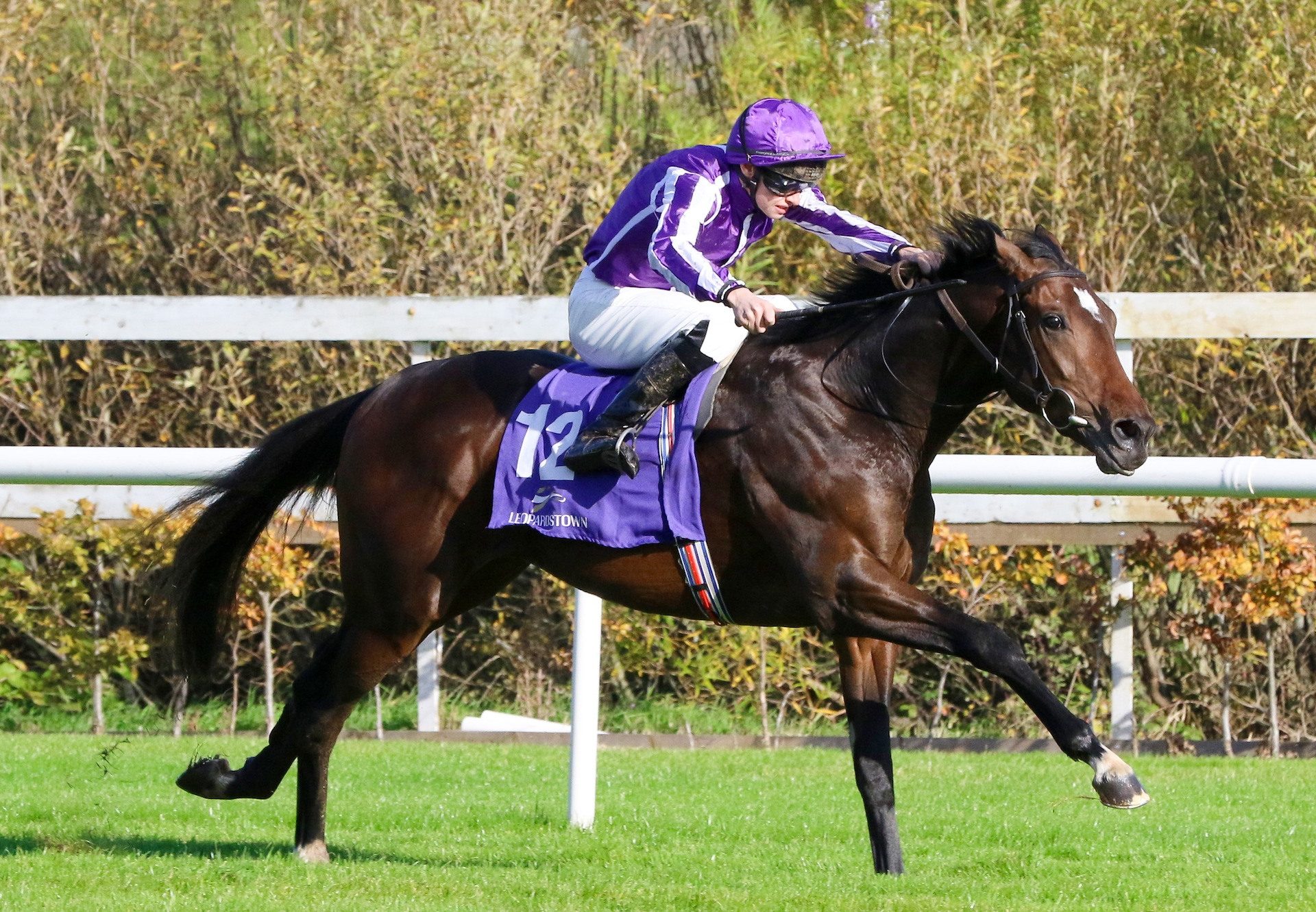 San Pedro (Gleneagles) winning his maiden at Leopardstown