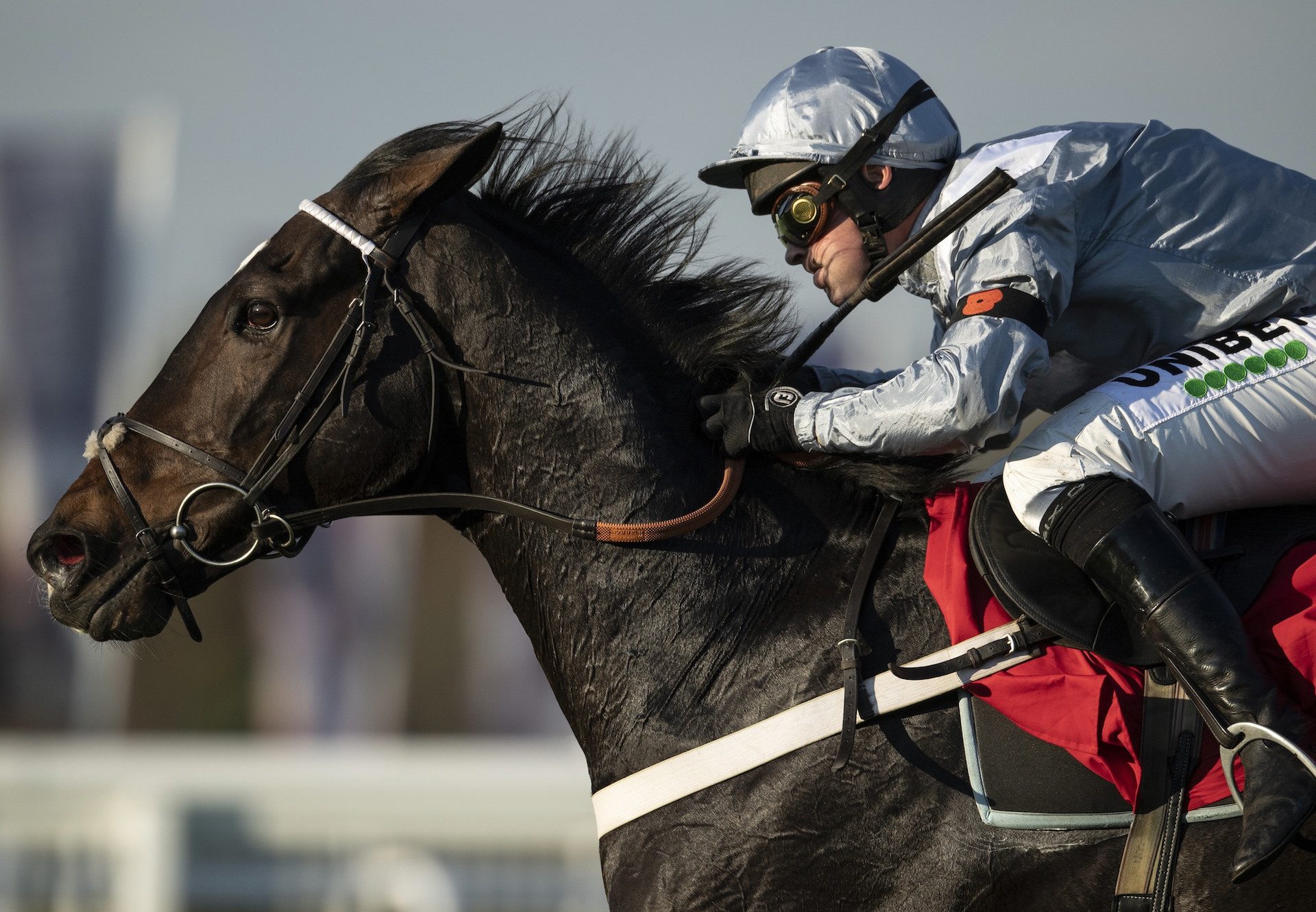 Santini (Milan) Wins The Listed Chase At Sandown