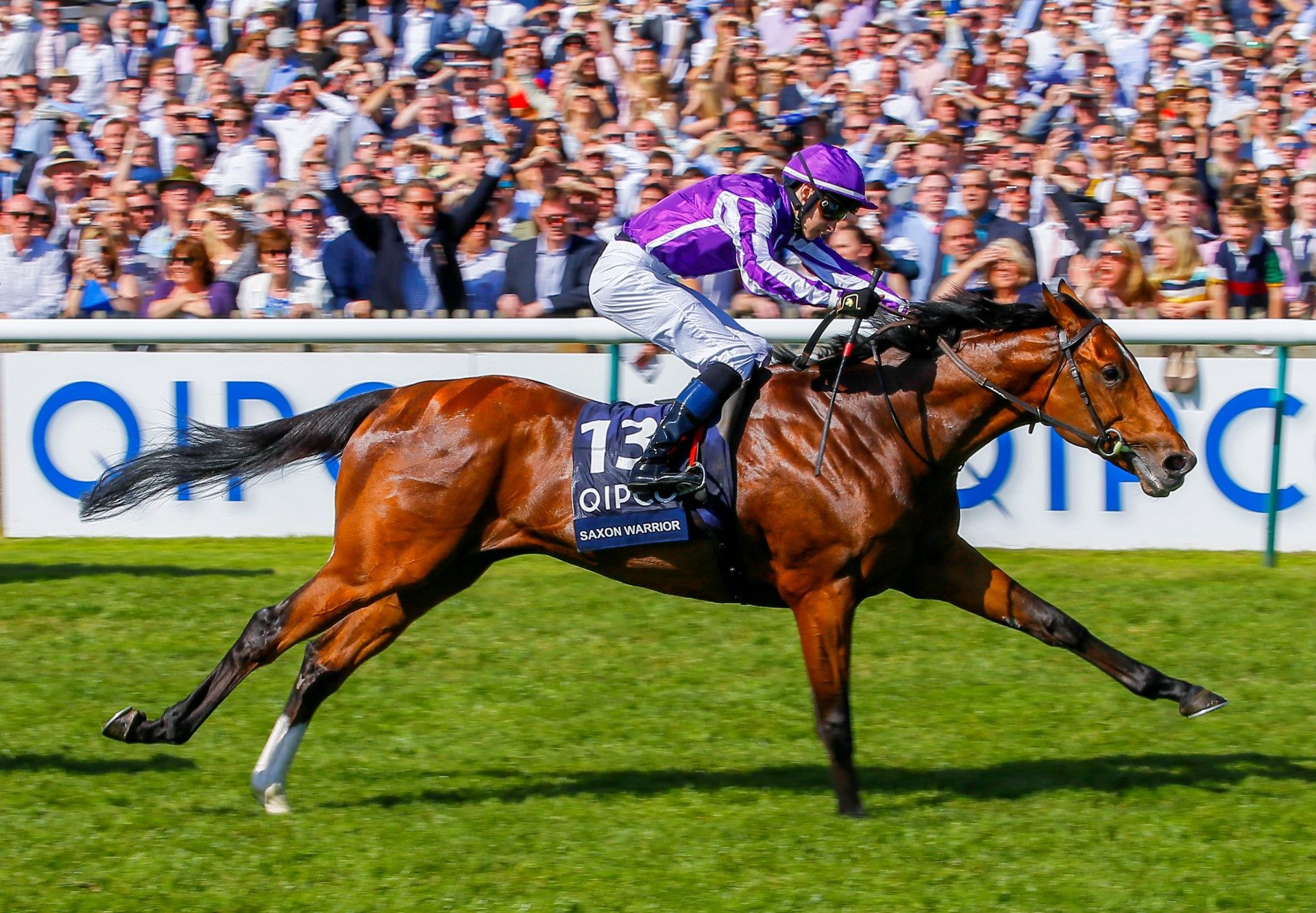 Image result for Saxon Warrior 2000 guineas