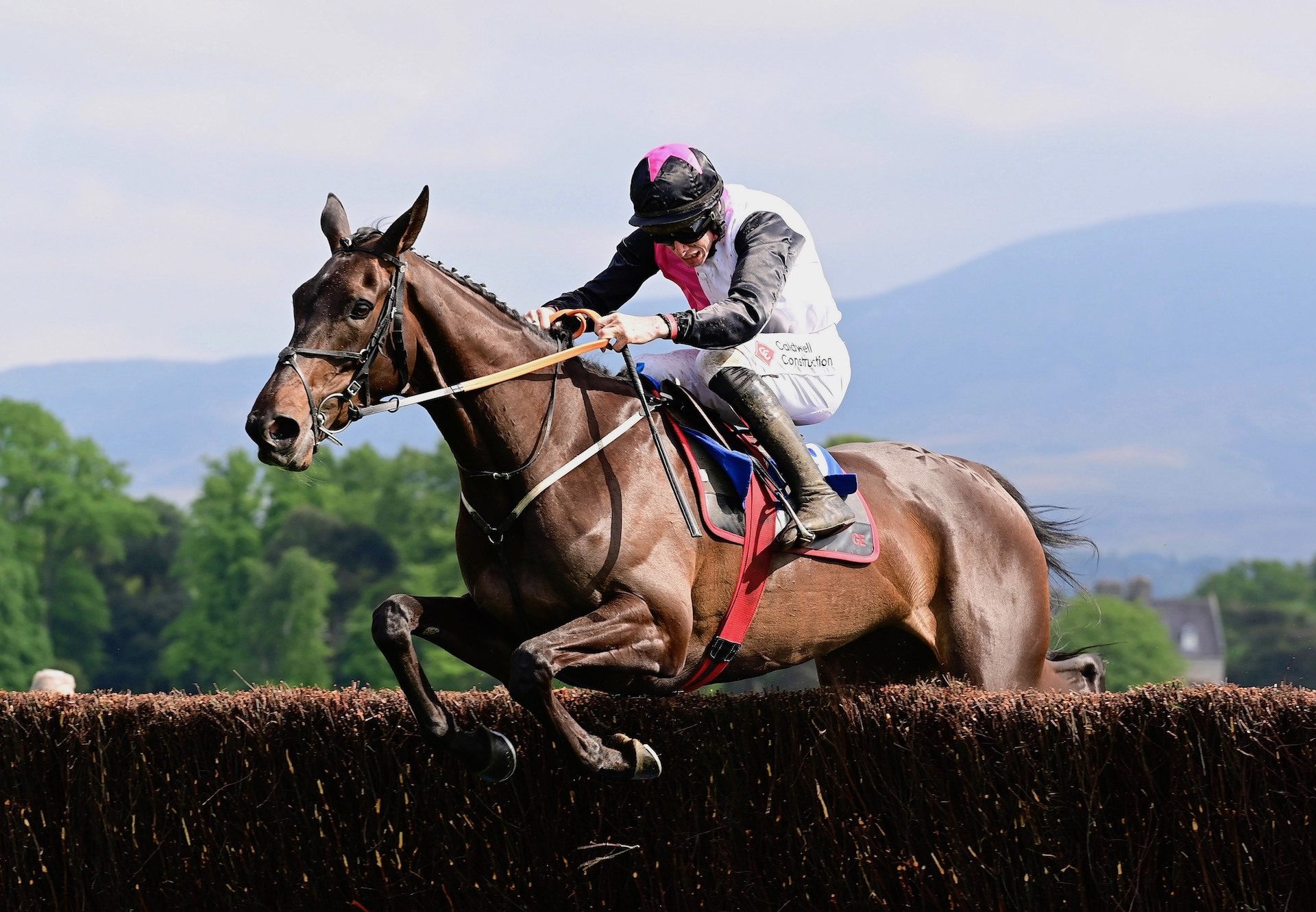 Say Goodbye (Getaway) Wins The Mares Beginners Chase At Killarney