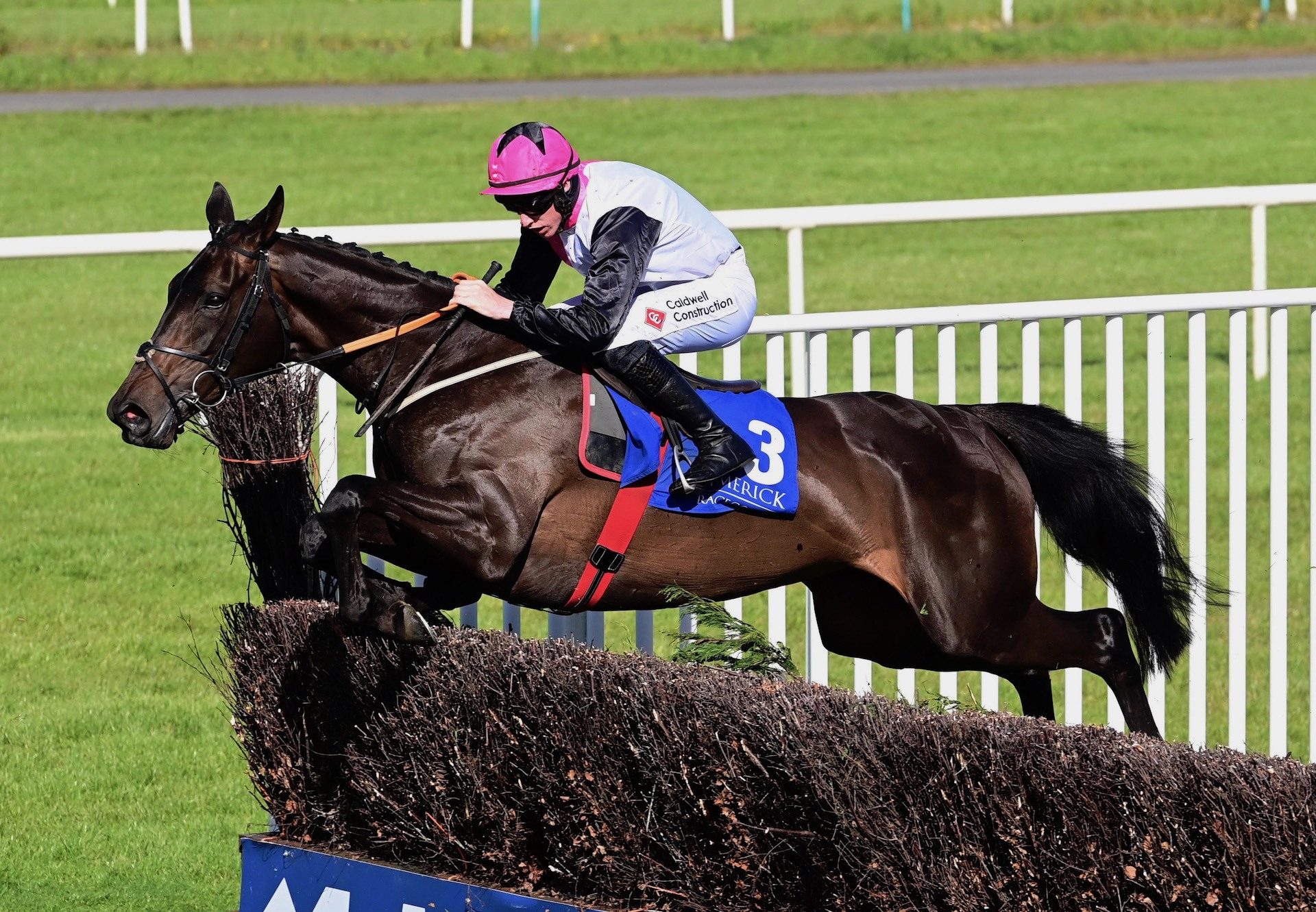 Say Goodbye (Getaway) Wins The Mares Chase At Limerick