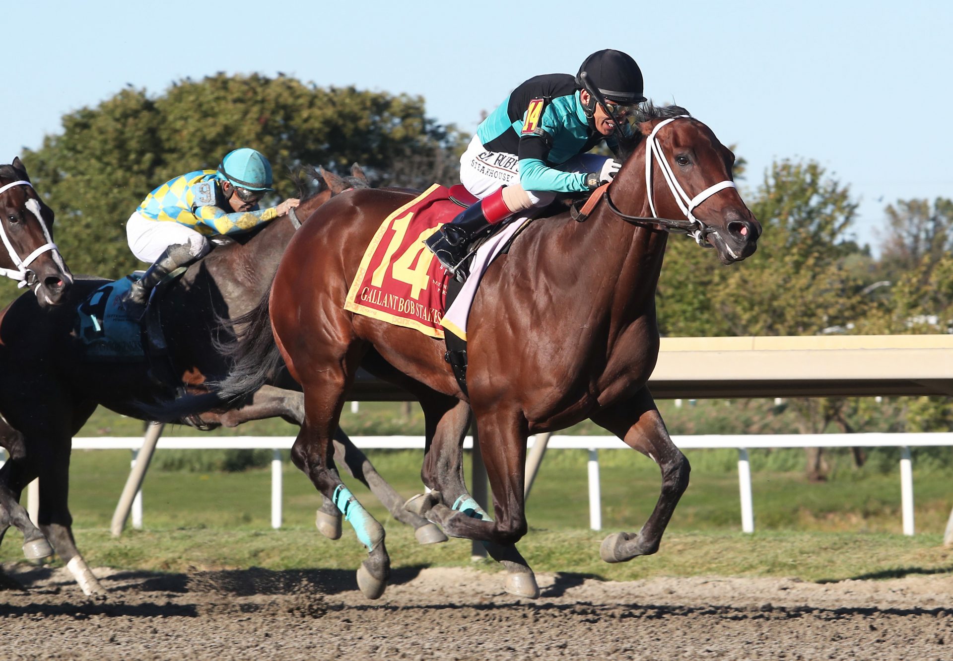 Scaramouche (Munnings) Wins Gr.2 Gallant Bob Stakes at Parx