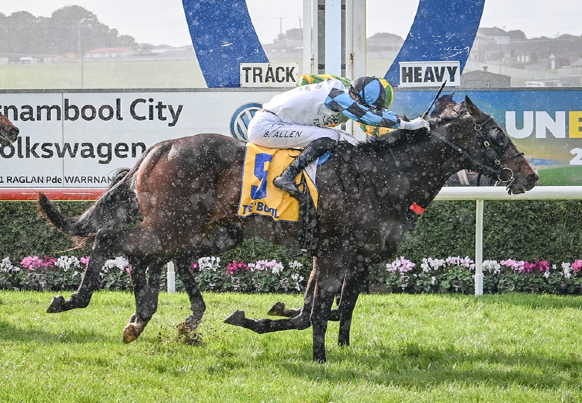 Scentify (Justify) winning at Warrnambool