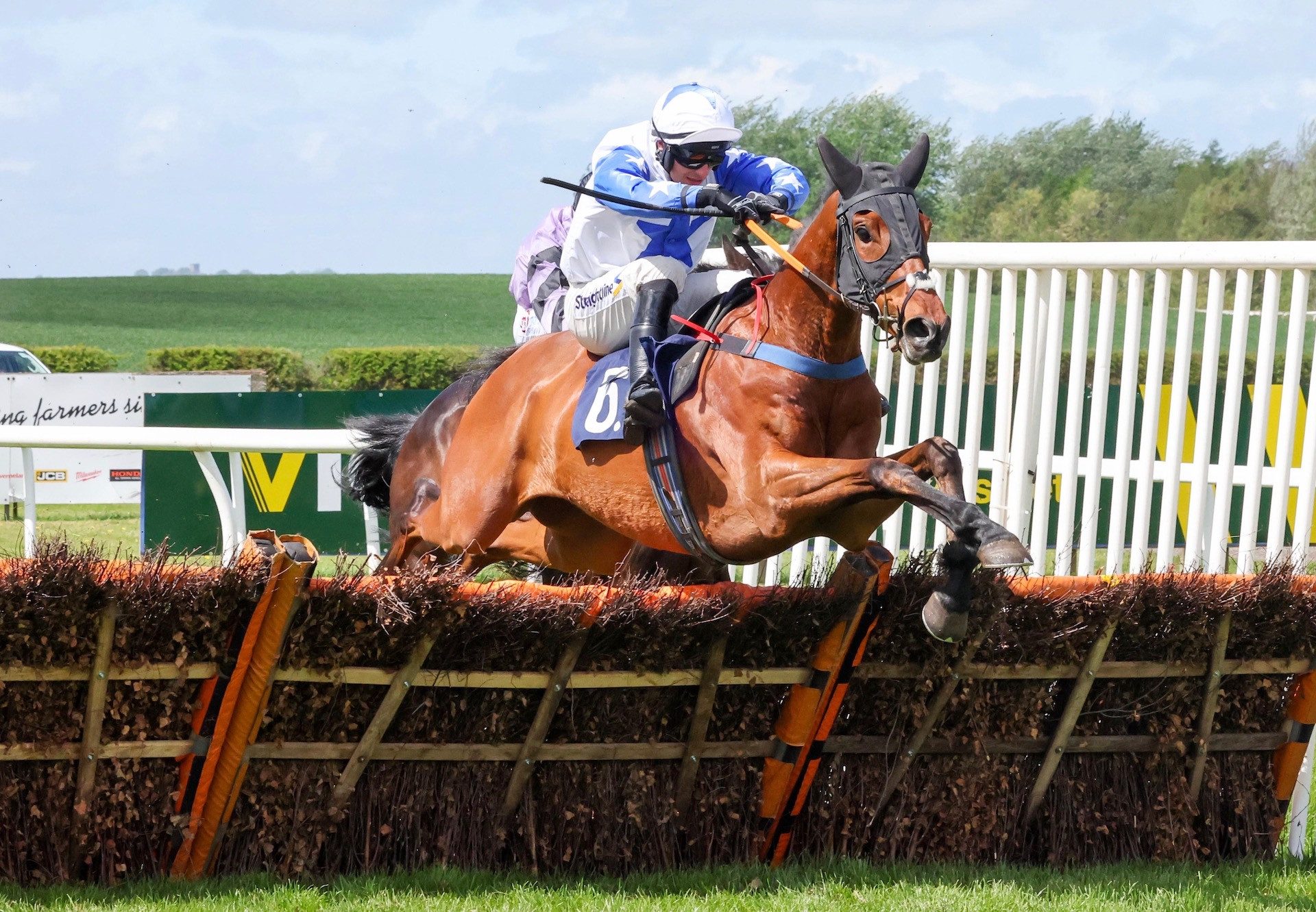 Scots Poet (Yeats) Wins The Novices Hurdle At Sedgefield