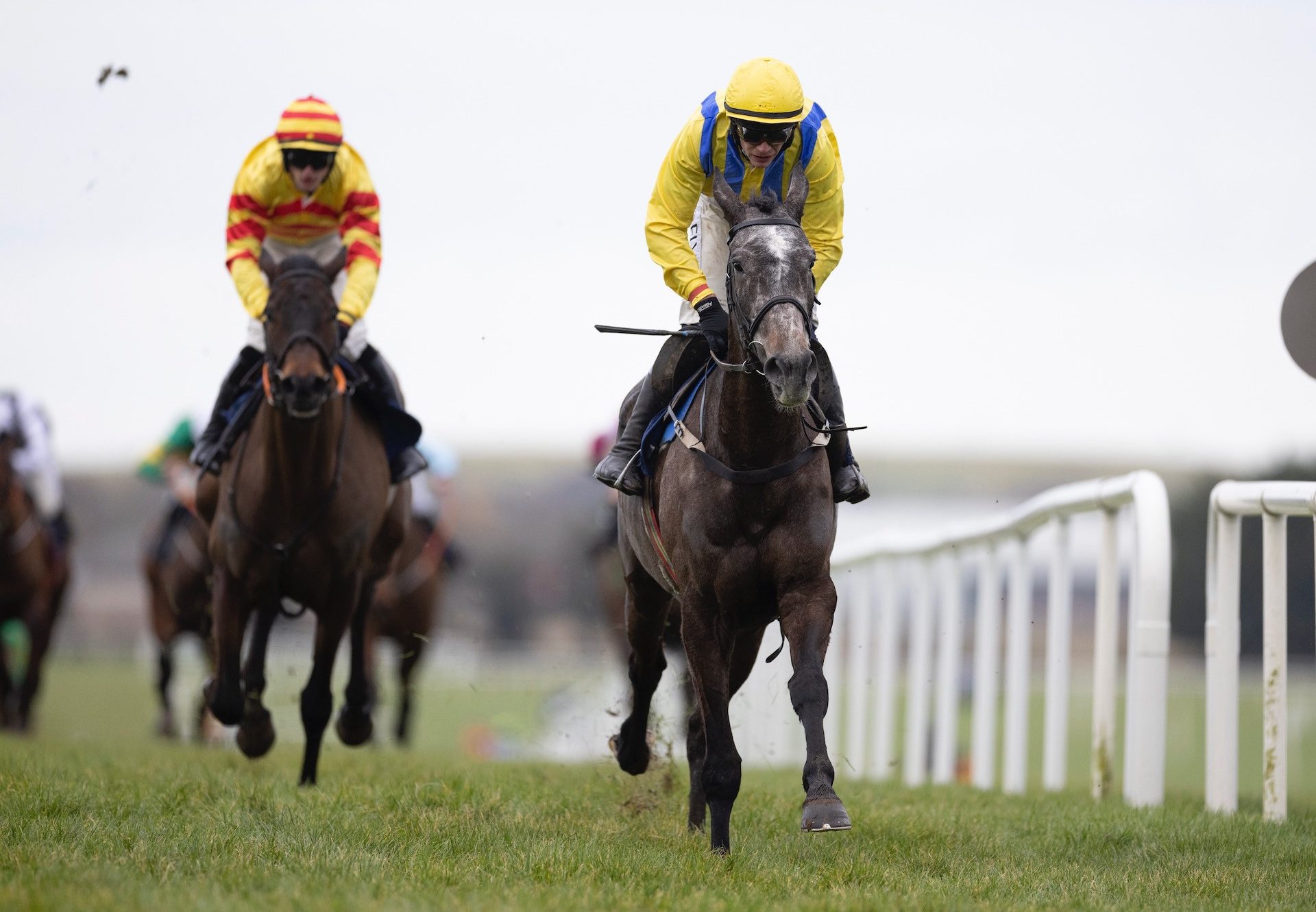 Seabank Bistro (Walk In The Park) wins the maiden hurdle at Naas