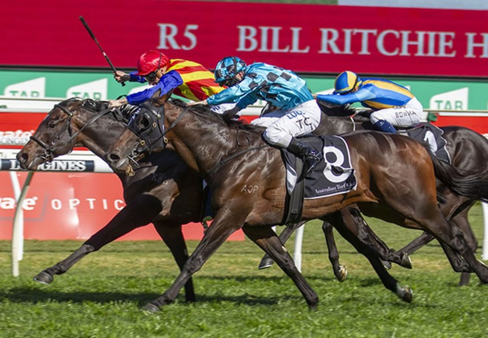 Seige Of Quebec (Fastnet Rock) winning the G3 ATC Bill Ritchie Stakes at Randwick