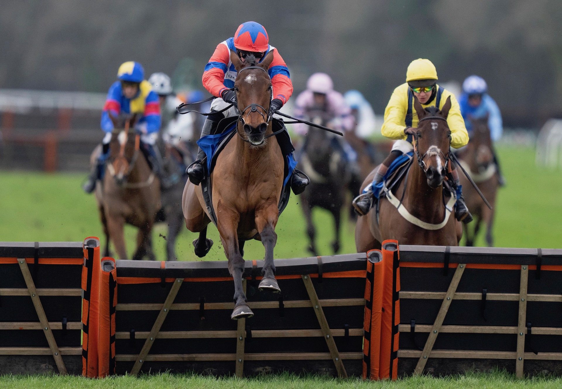 Serious Charges (Soldier Of Fortune) Makes All In The Maiden Hurdle At Exeter