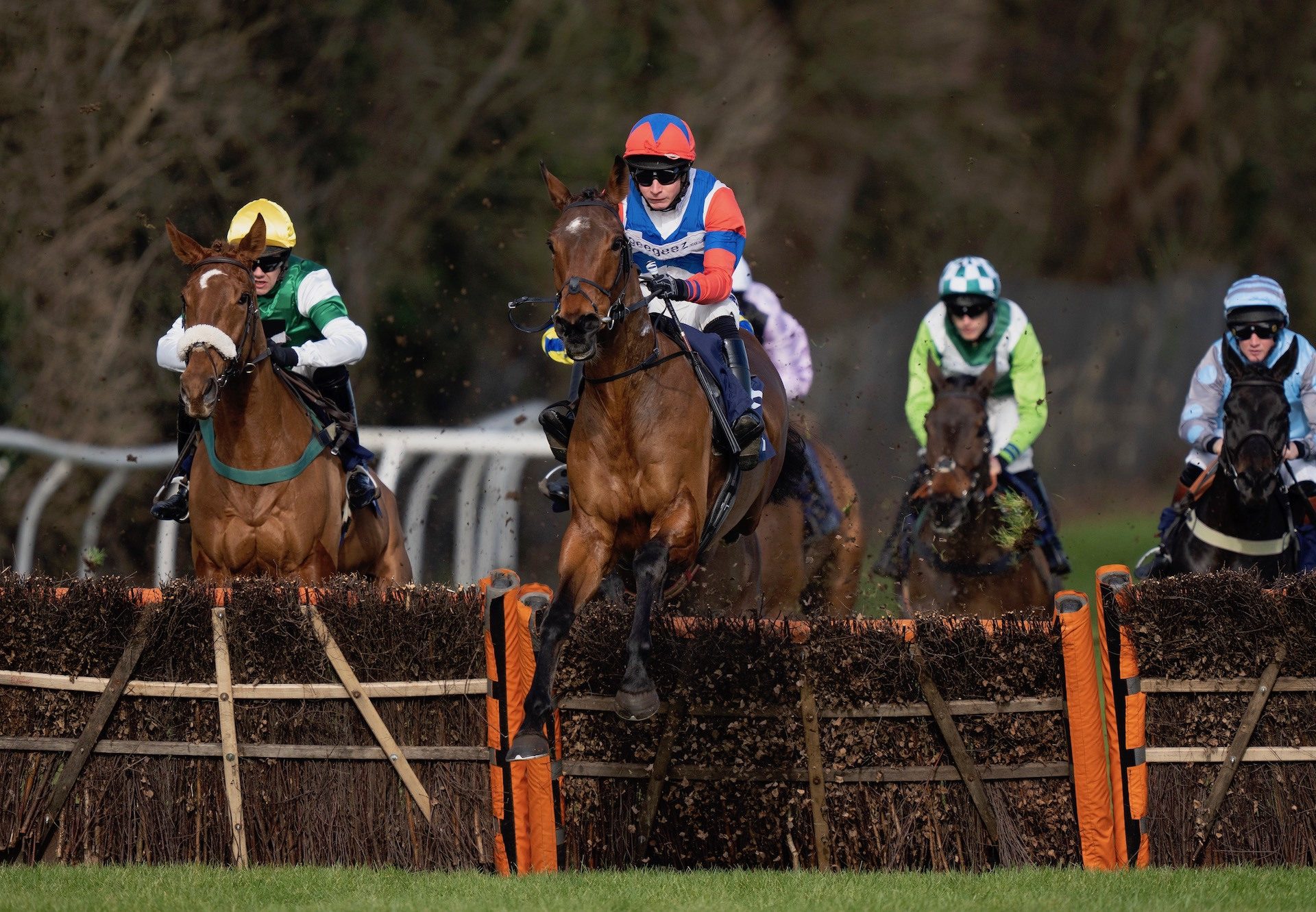 Serious Charges (Soldier Of Fortune) Wins The Novices Hurdle At Fontwell