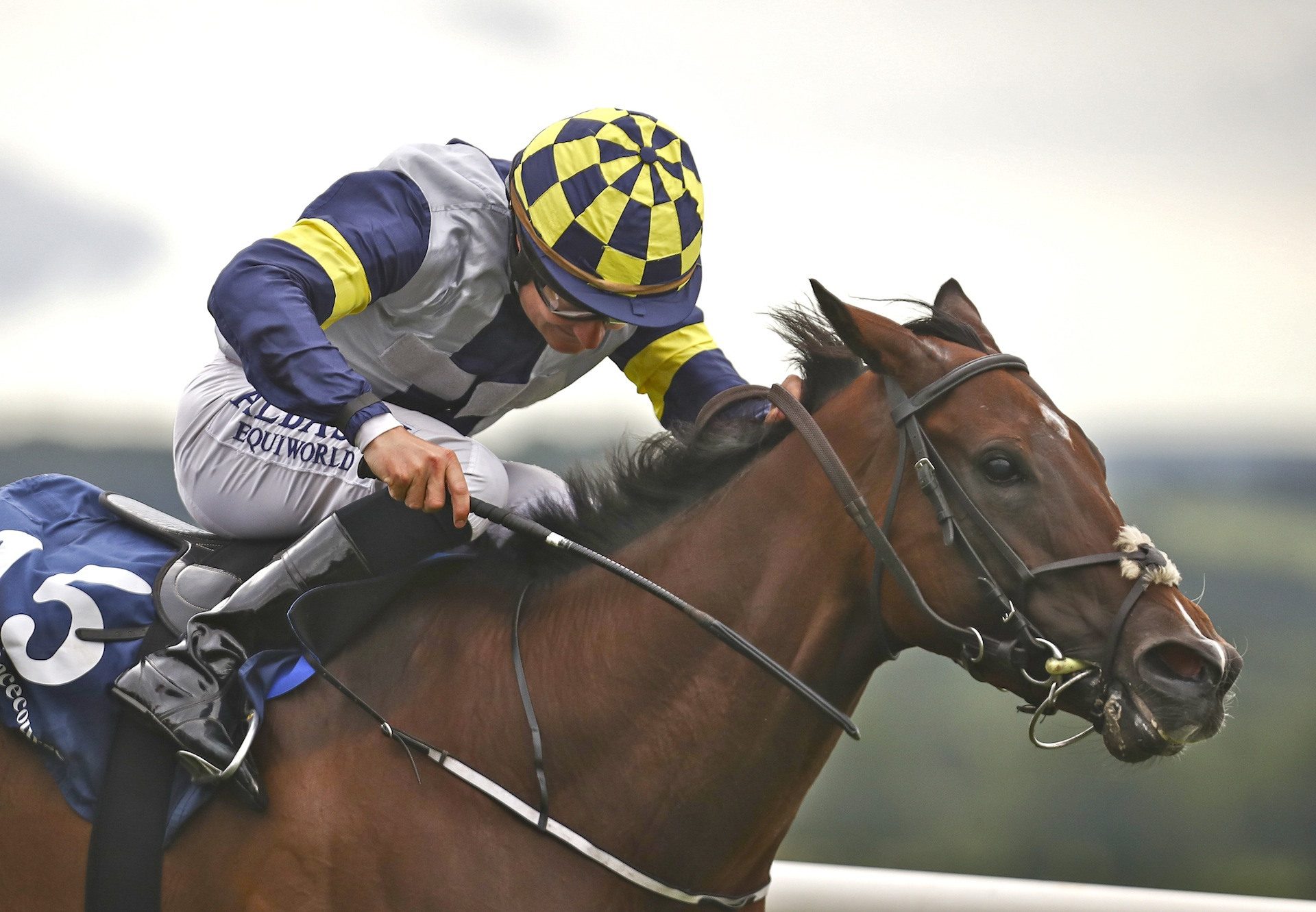 Servalan (No Nay Never) win the Listed Yeomanstown Stud Stakes at Naas