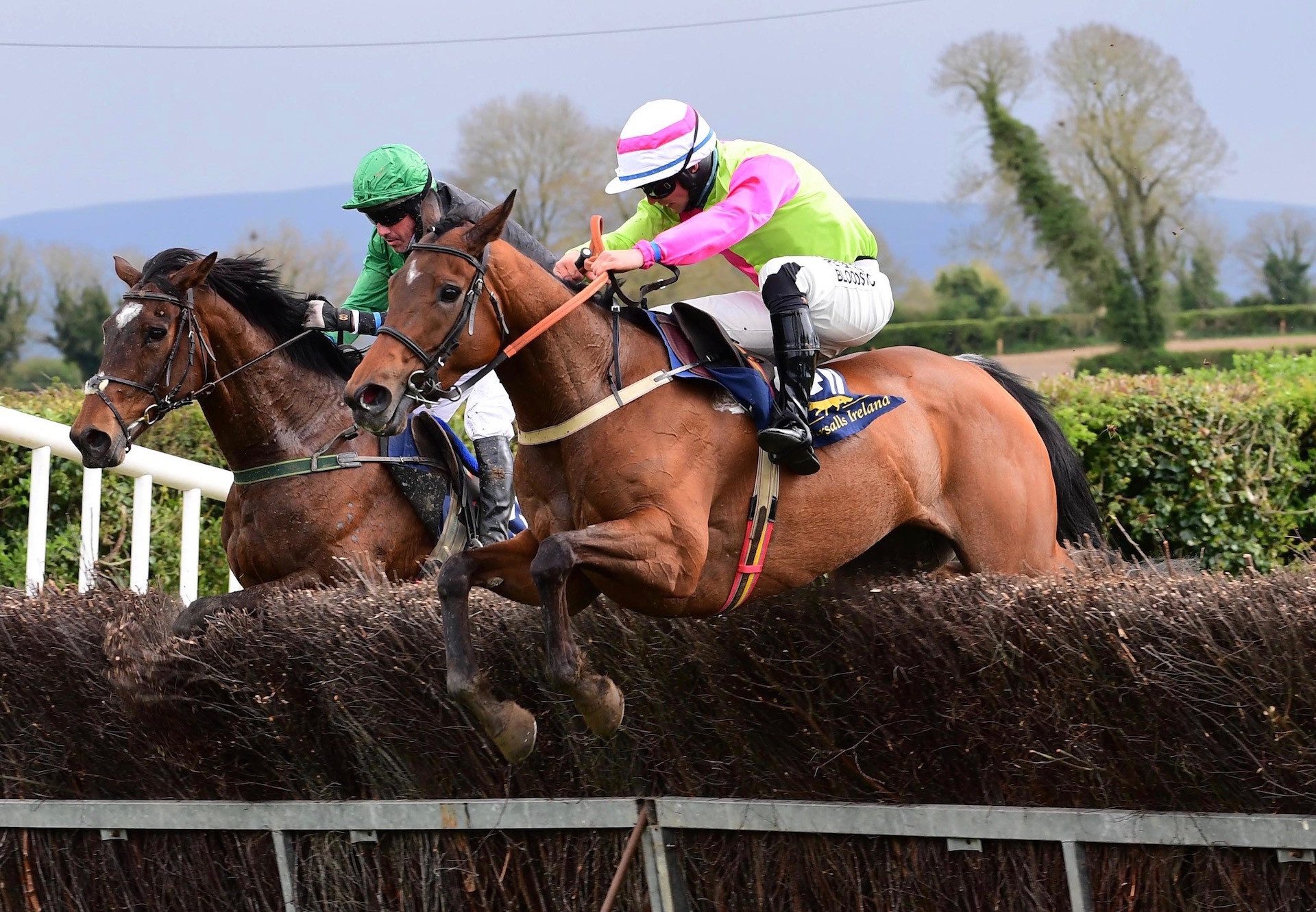 Set In The West (Westerner) Lands The Mares Maiden At Lisronagh