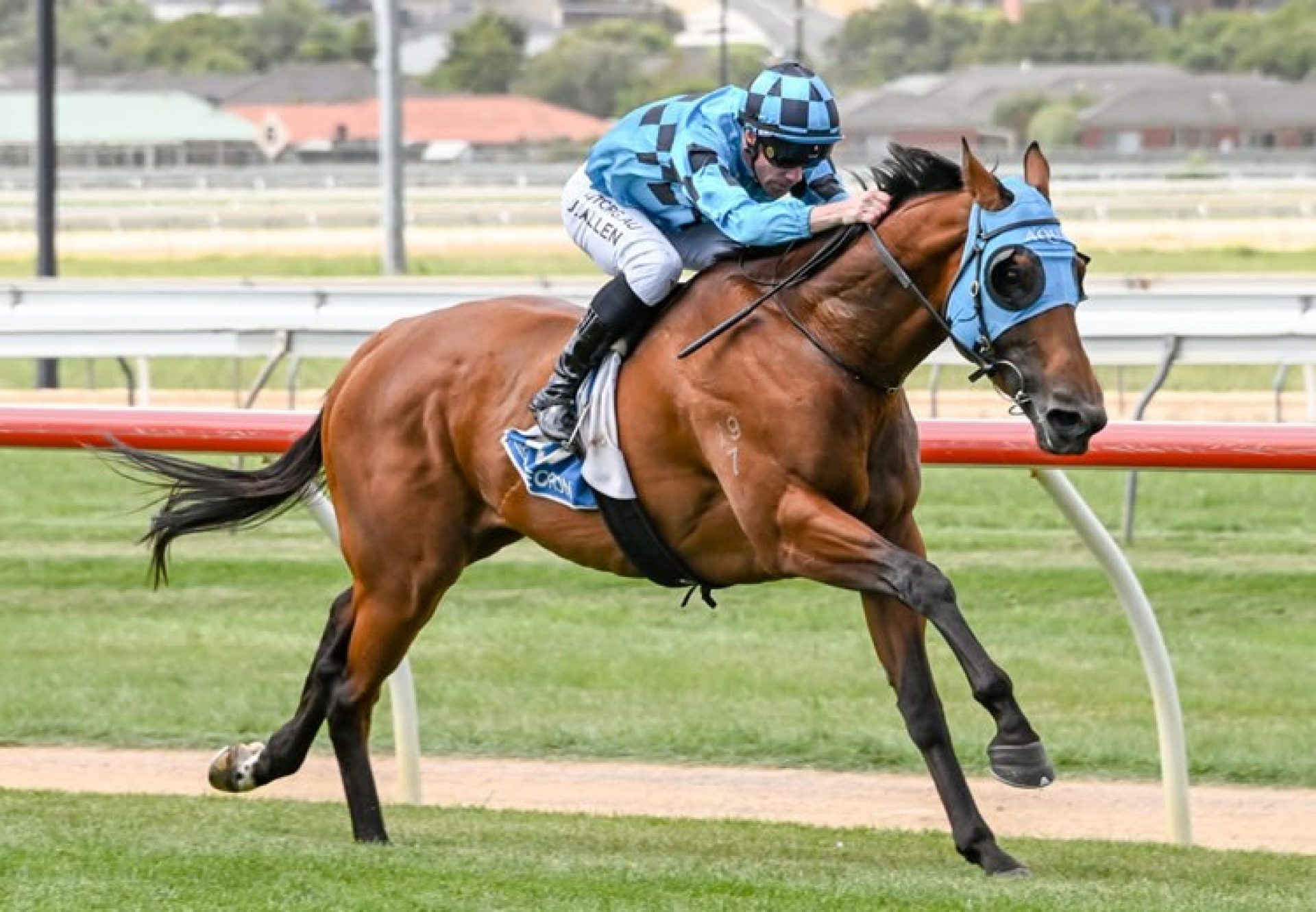 Setanta (Fastnet Rock) winning at Warrnambool