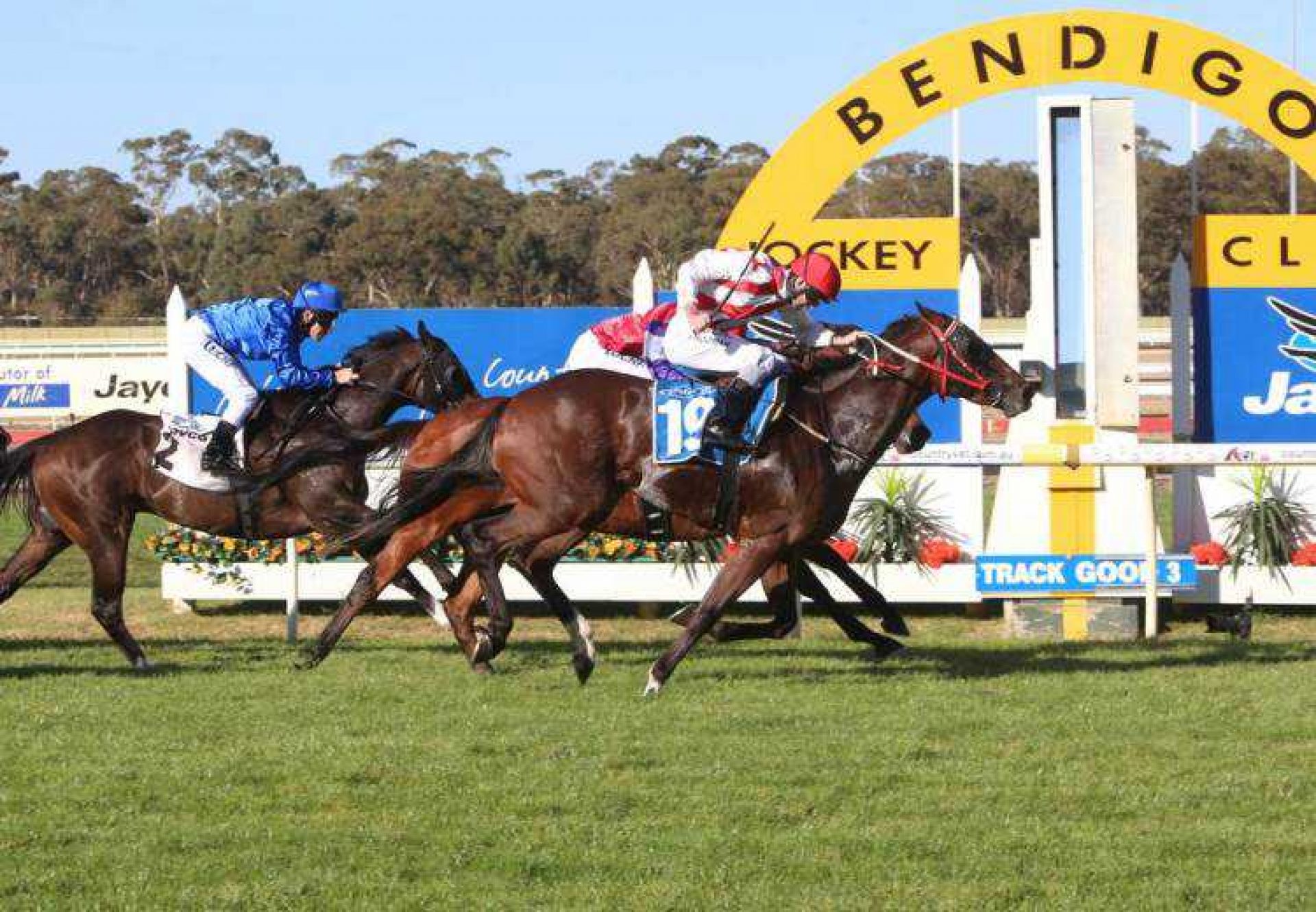 Setinum (Holy Roman Empero) winning the Listed Listed Bendigo Guineas at Bendigo