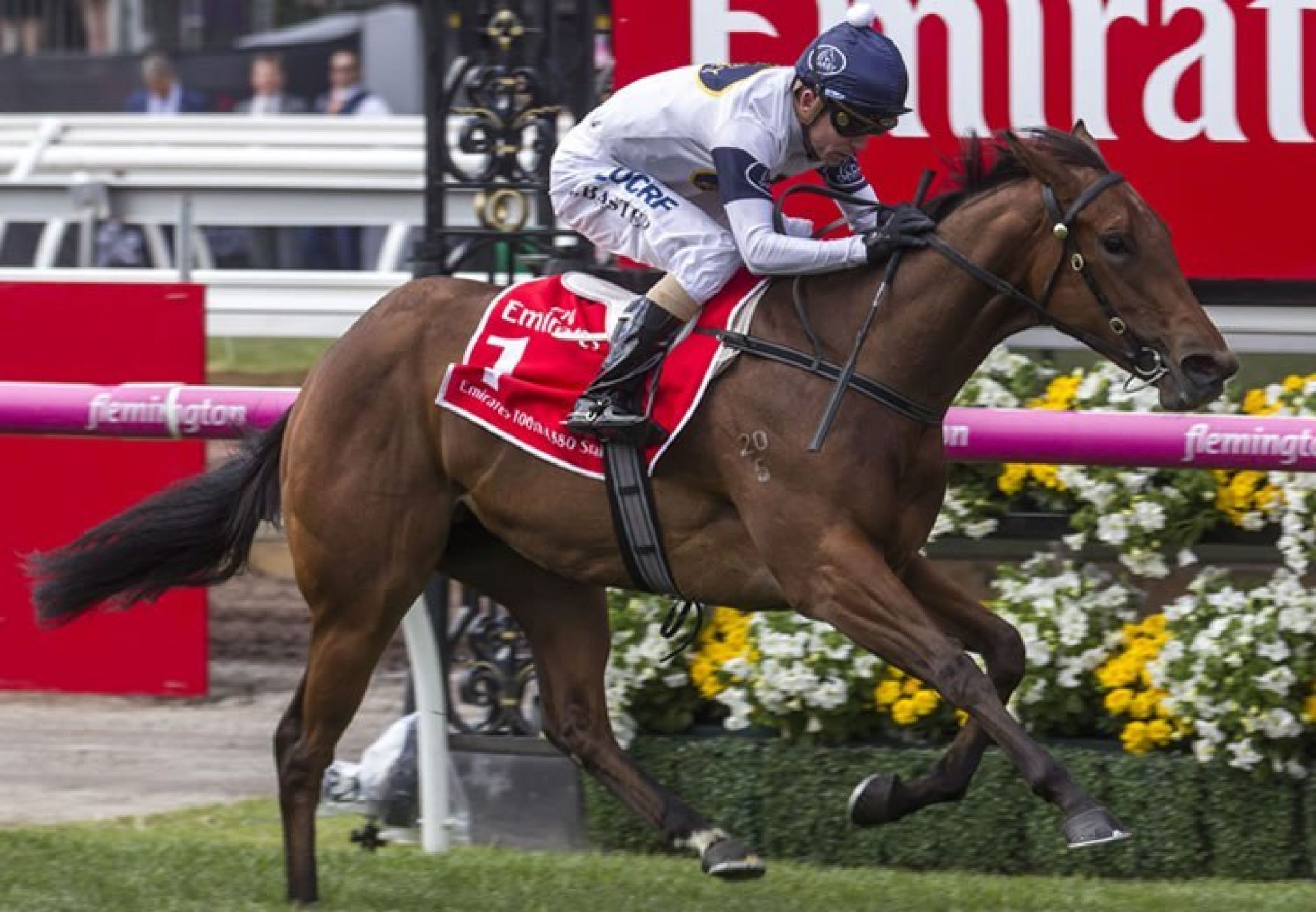 Setsuna Flemington 750