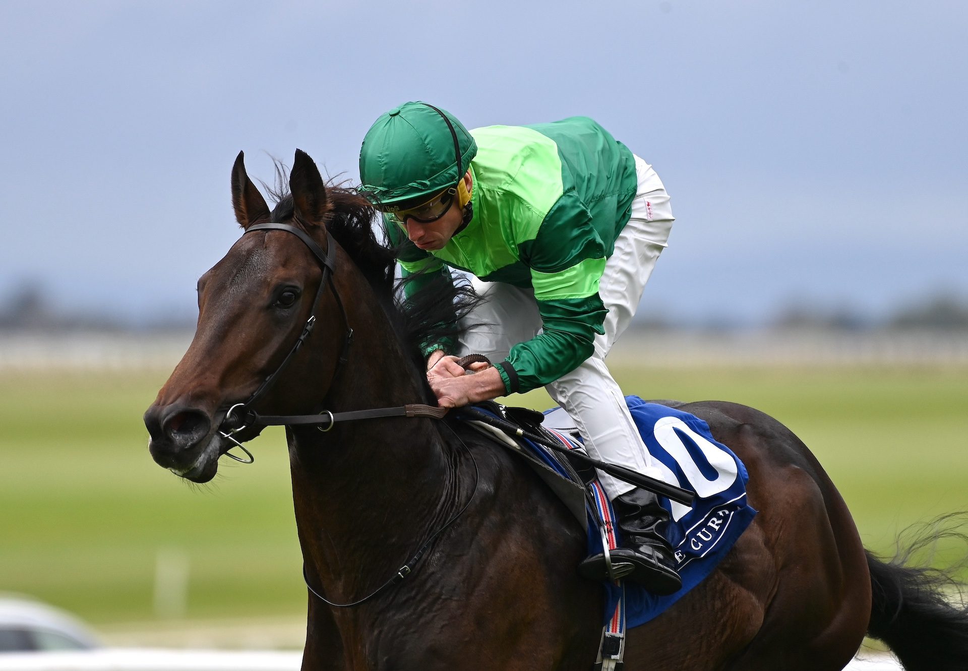 Shackleton (Camelot) Wins His Maiden At The Curragh