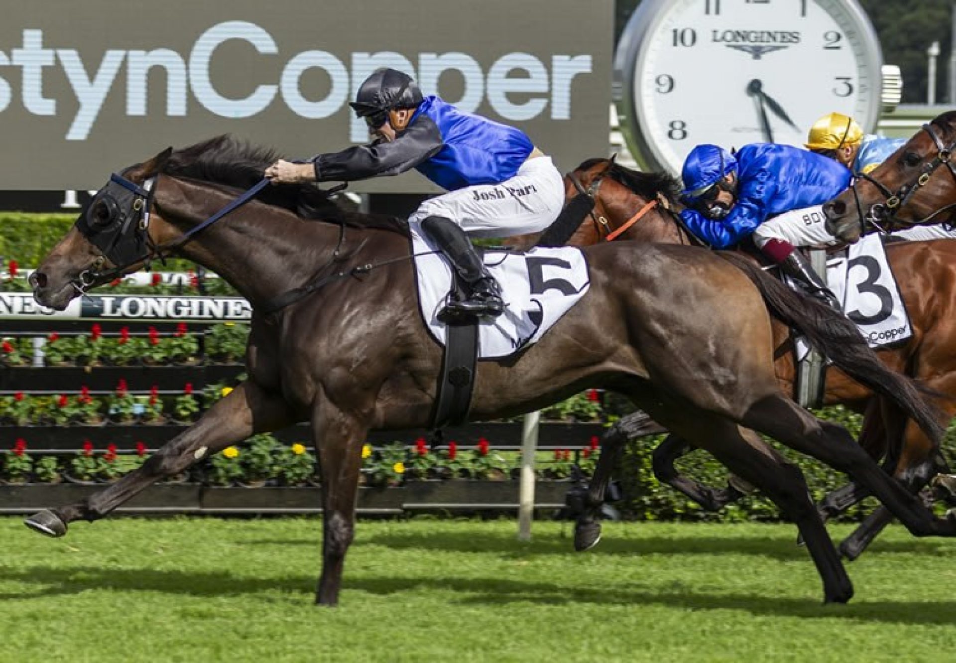 Shadow Hero (Pierro) winning the Gr.1 Randwick Guineas