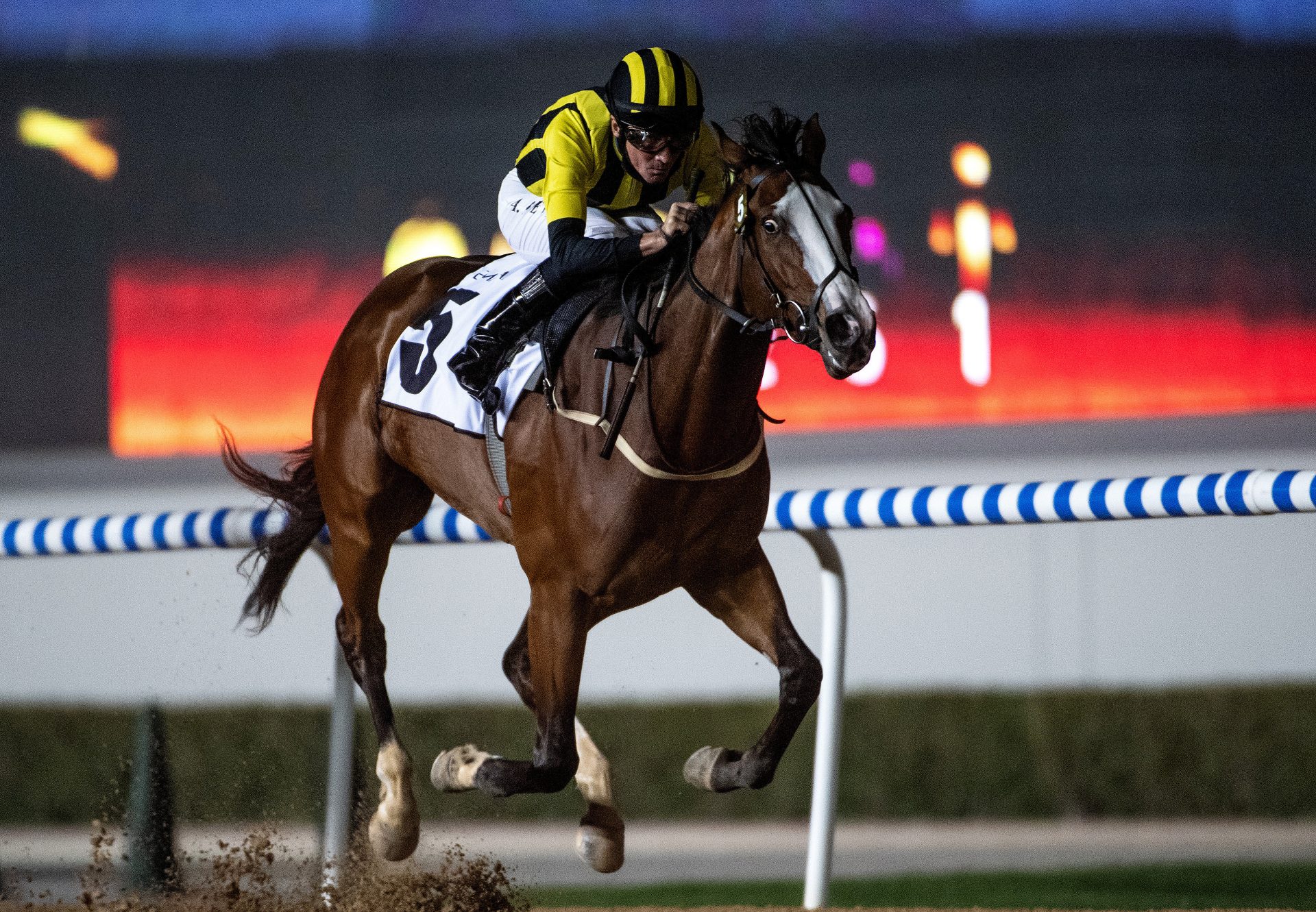 Shahaha (Munnings) winning the Listed UAE 1000 Guineas at Meydan