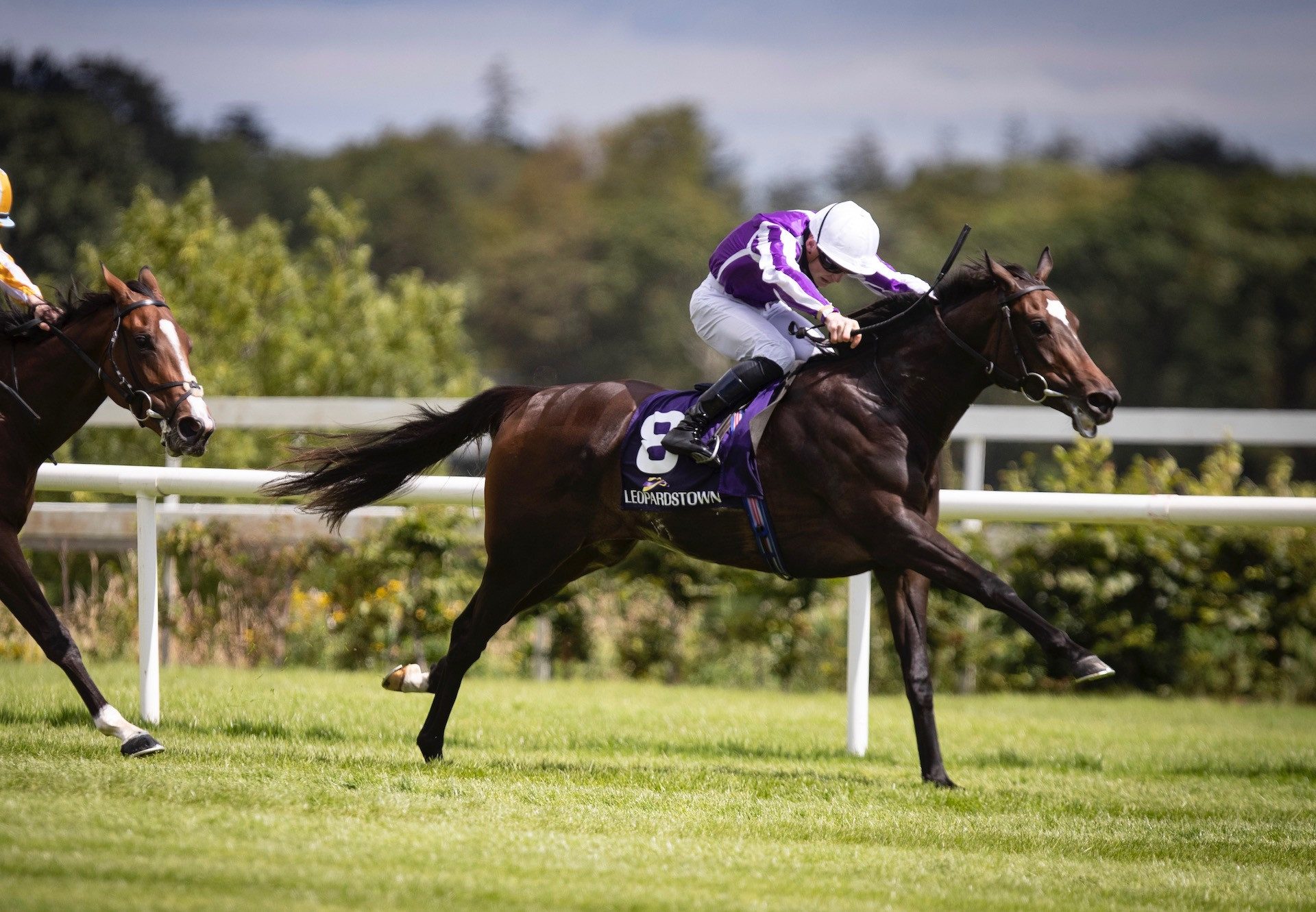 Shale (Galileo) Wins The Group 3 Silver Flash Stakes at Leopardstown