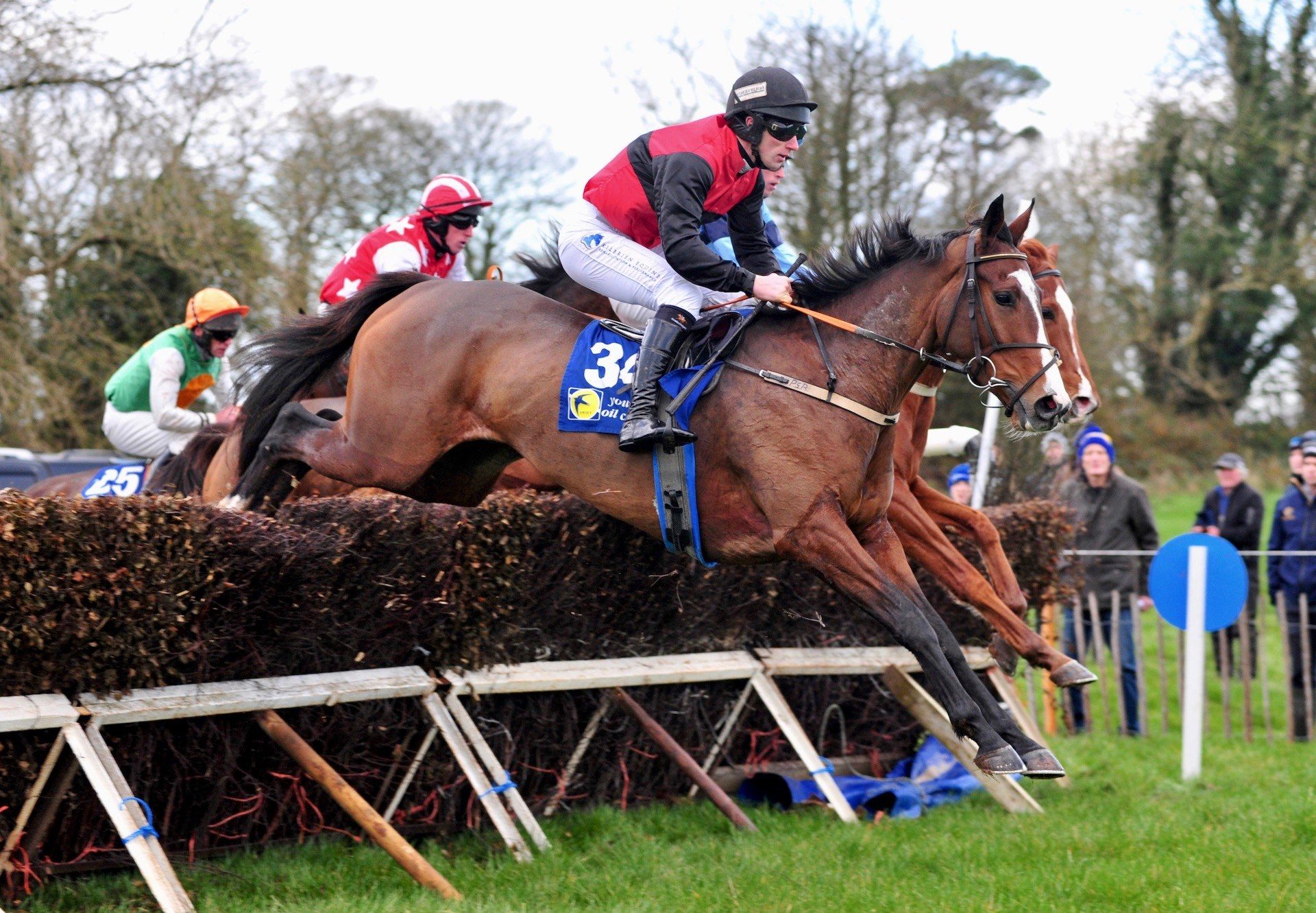 Shanagh Bob (Mahler) Wins The 4YO Maiden At Ballindenisk