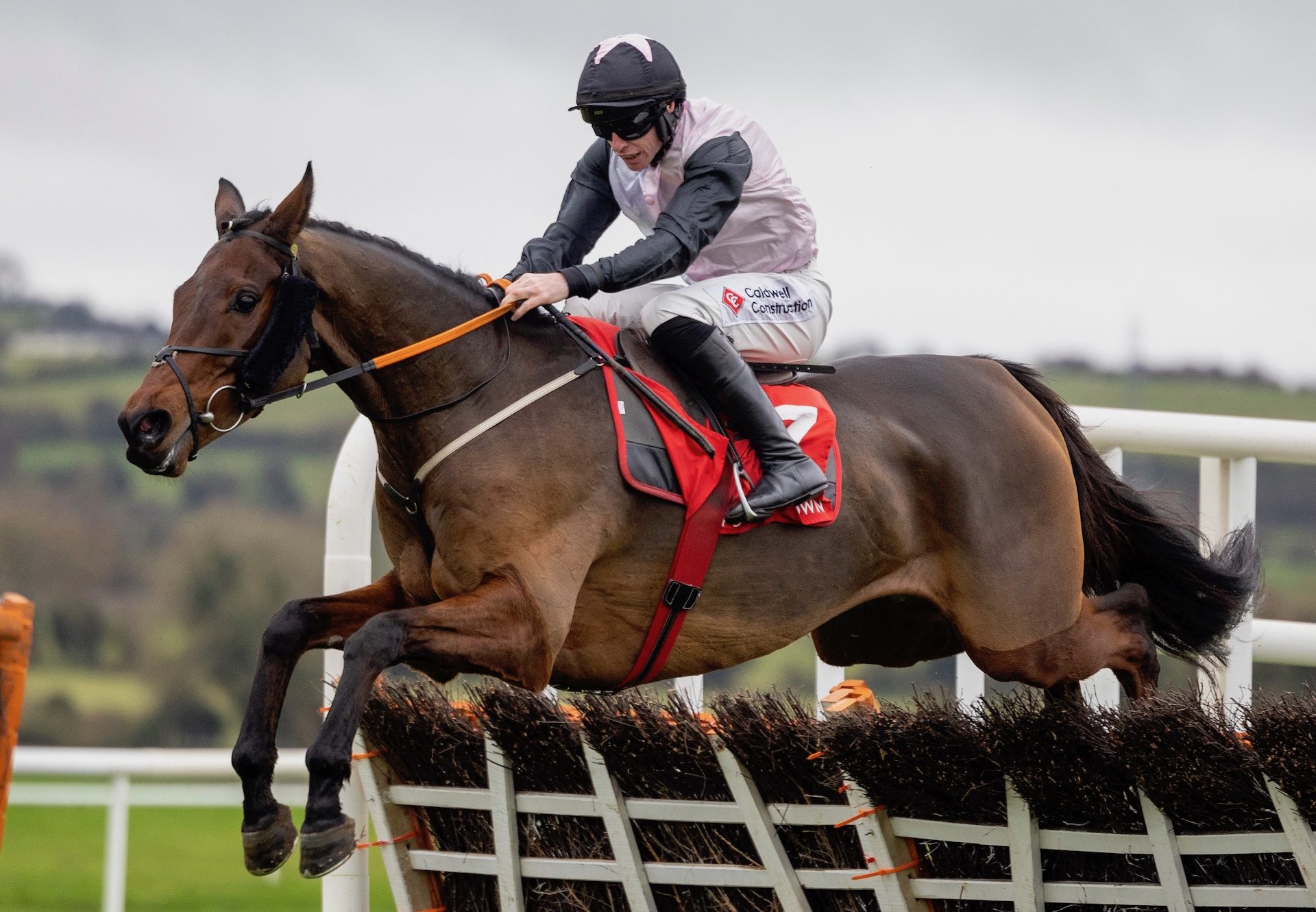 Shannon Royale (Walk In The Park) Wins The Maiden Hurdle At Punchestown