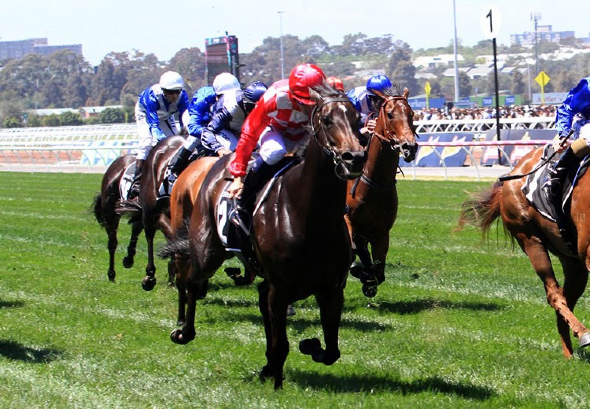 Sheidel (Holy Roman Emperor) winning the G3 VRC Sensis Stakes at Flemington