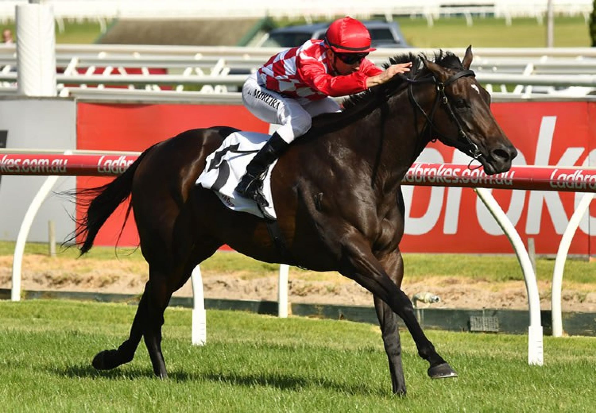 Sheidel (Holy Roman Emperor) winning the G1 MRC Oakleigh Plate