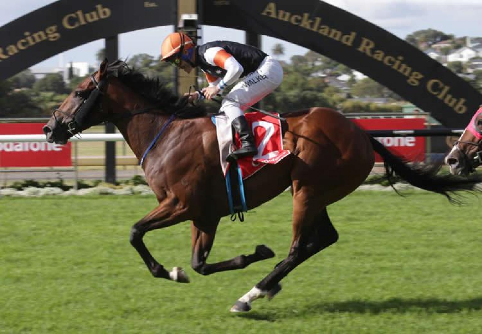 Sherwood Forest (Fastnet Rock) winning the Gr.1 New Zealand Derby