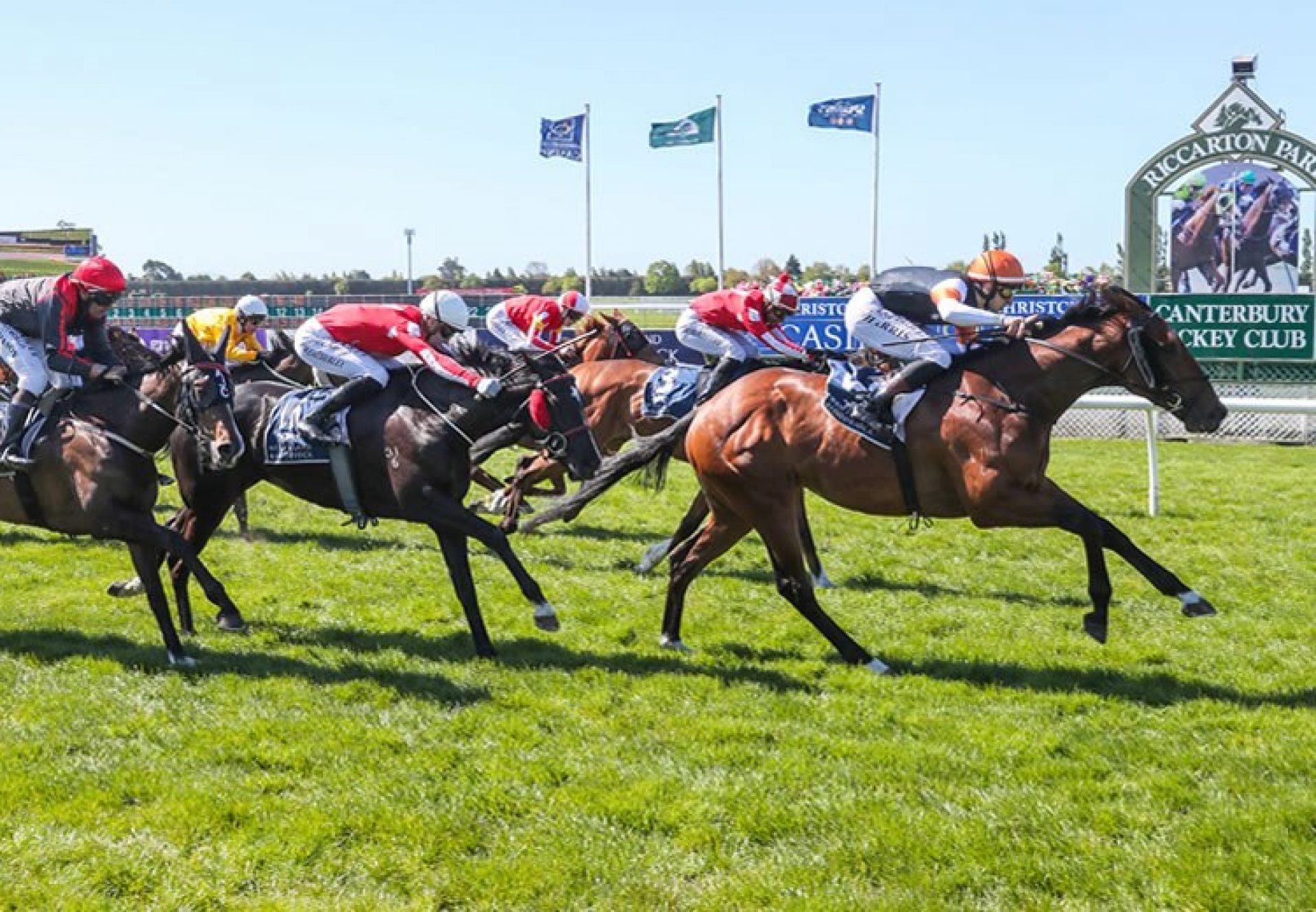 Sherwood Forest (Fastnet Rock) winning Gr.3 War Decree Stakes at Riccarton